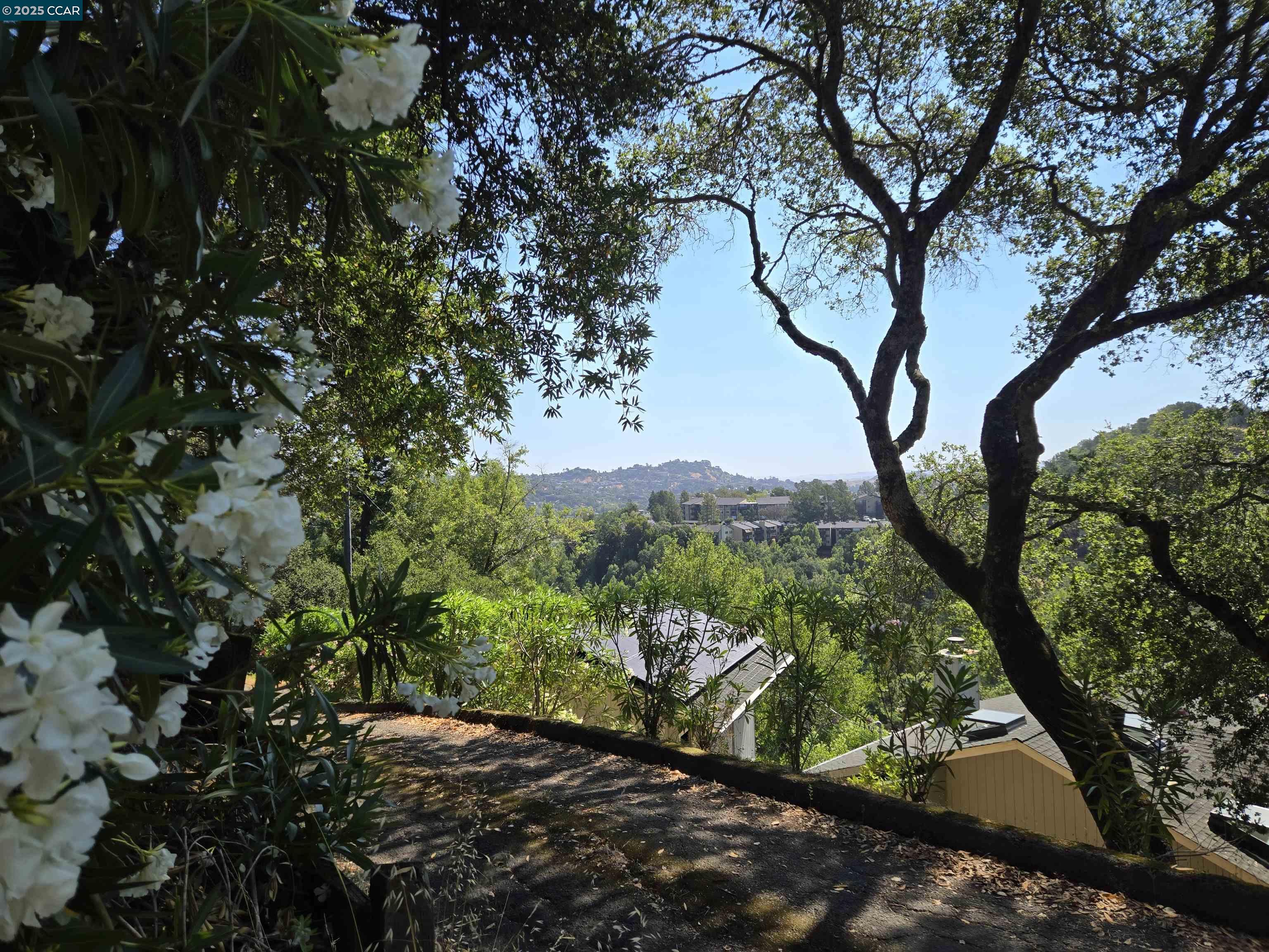 100 Black Log Road Kentfield, CA 94904 - Photo 27 of 27 a view of a street with a tree