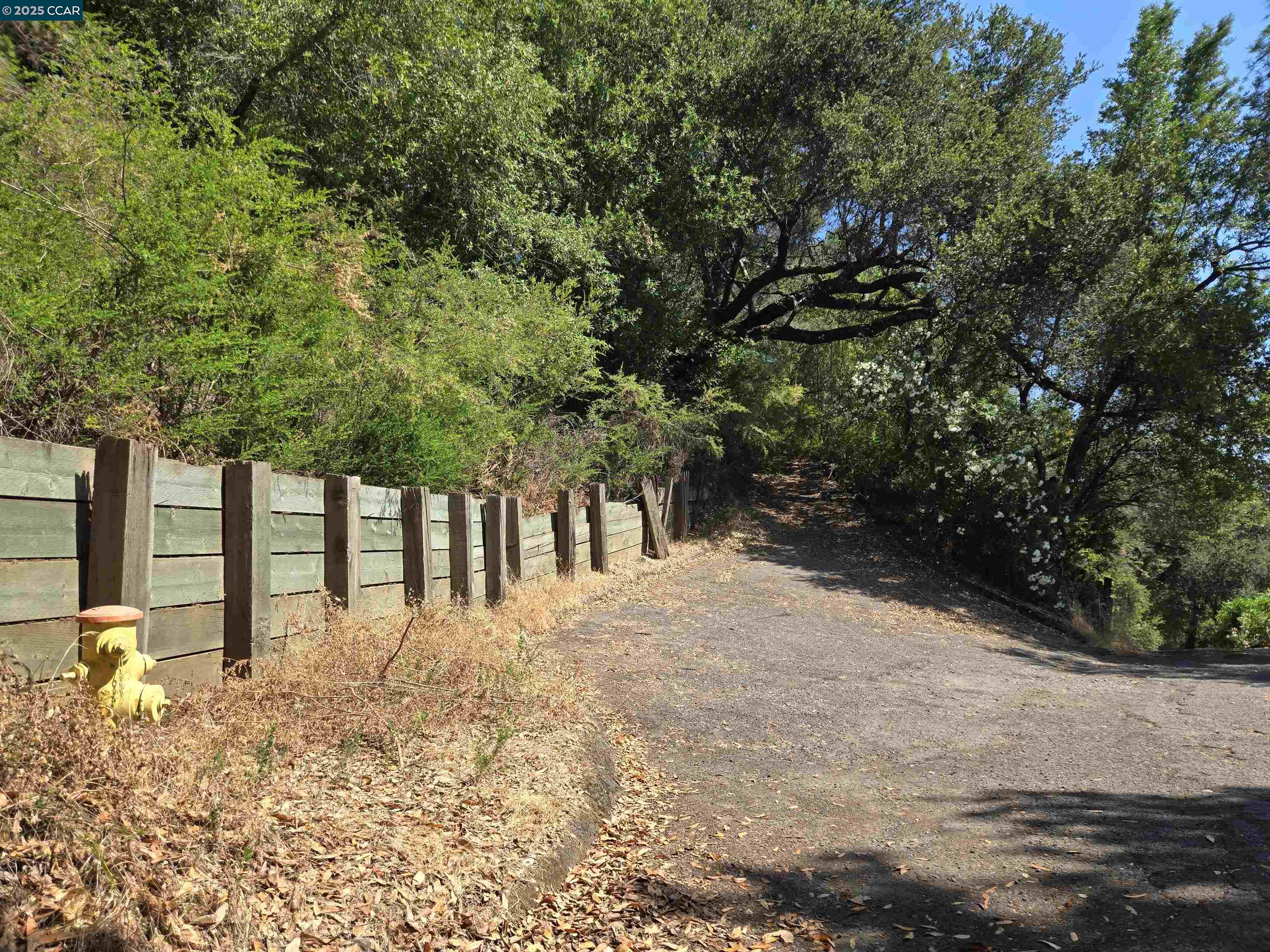 100 Black Log Road Kentfield, CA 94904 - Photo 3 of 27 a front view of a house with a yard