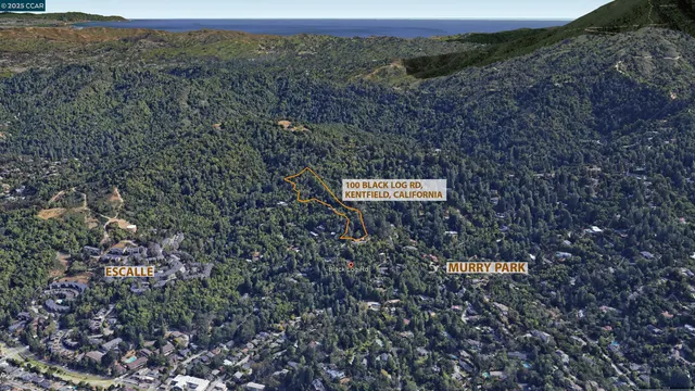 a view of a dry yard