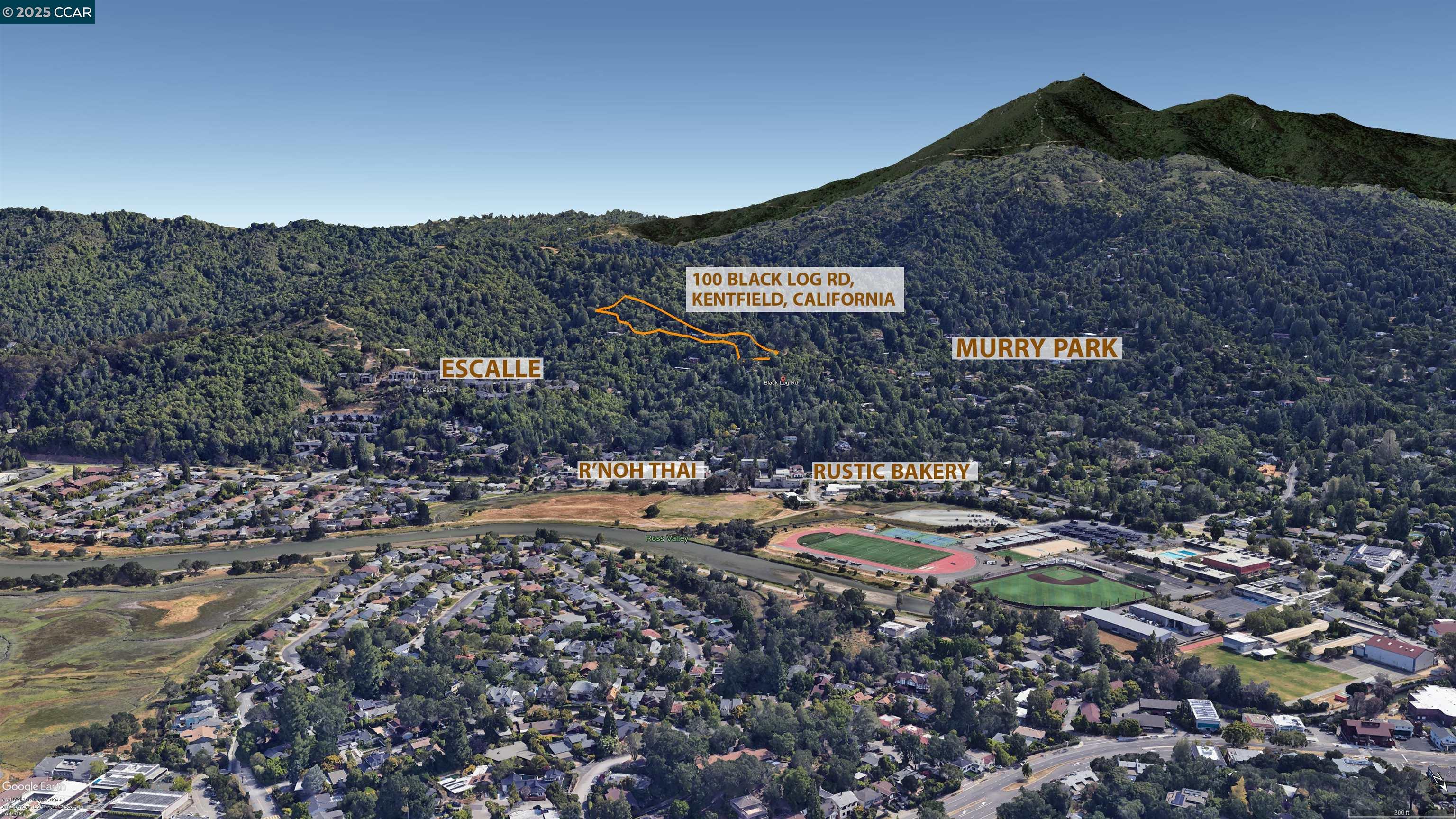 100 Black Log Road Kentfield, CA 94904 - Photo 10 of 27 a aerial view of a house with a yard