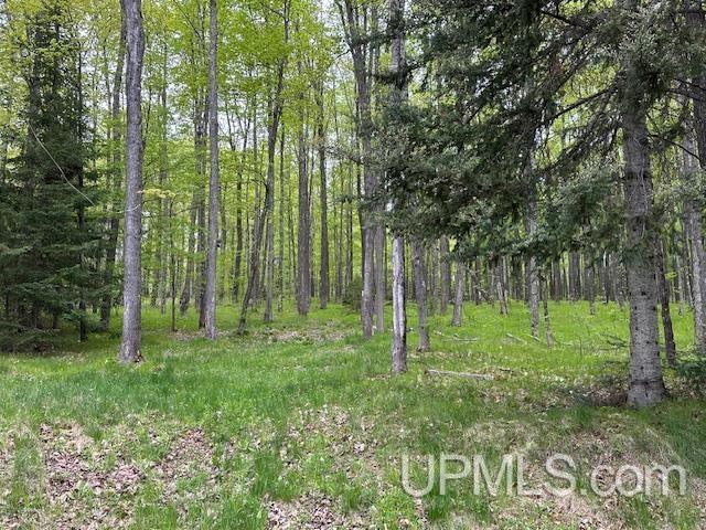 325 Mastodon Road Crystal Falls, MI 49920 - Photo 26 of 39