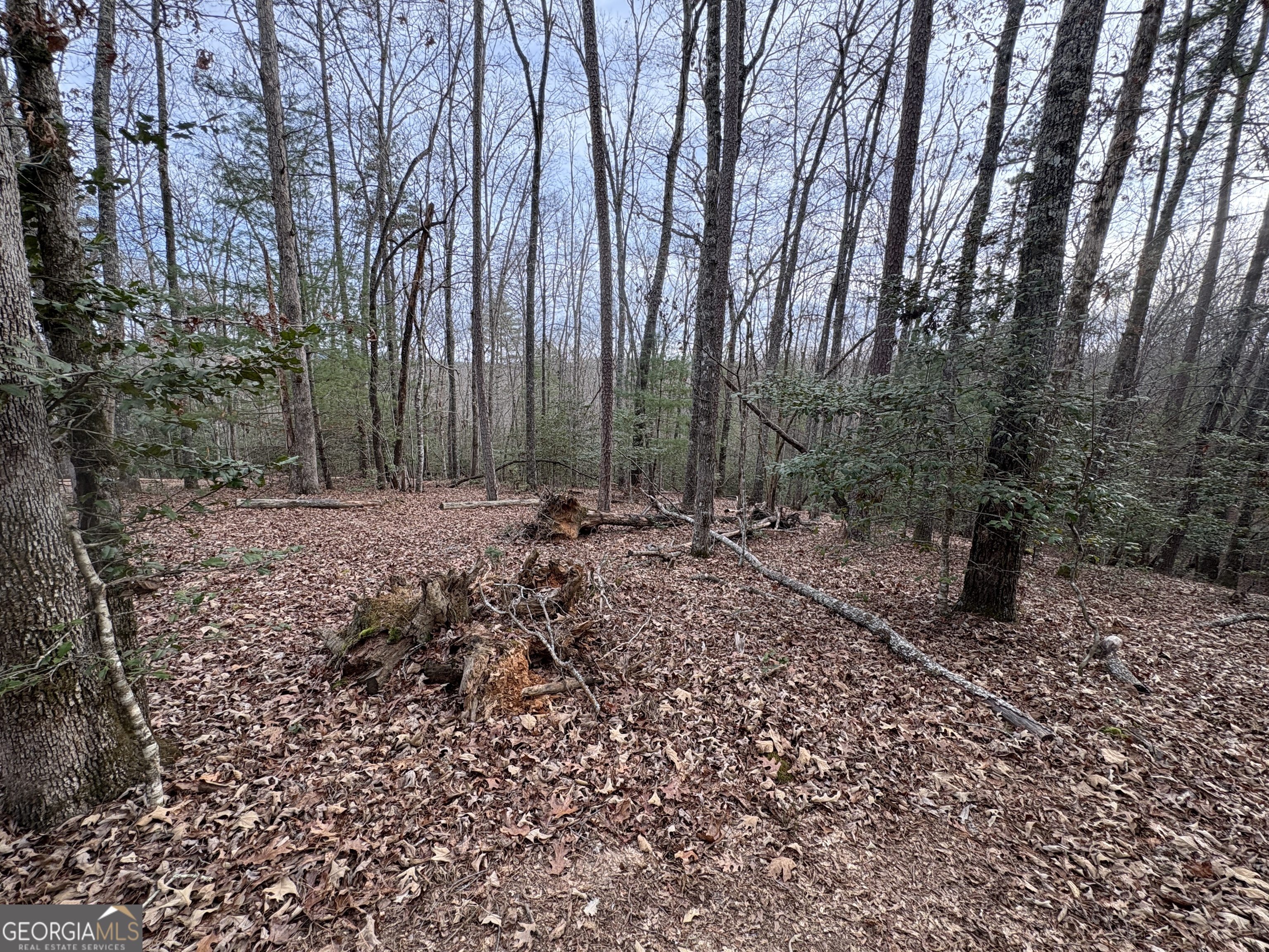 4-lots Old Johnson Road Murphy, NC 28906 - Photo 12 of 36