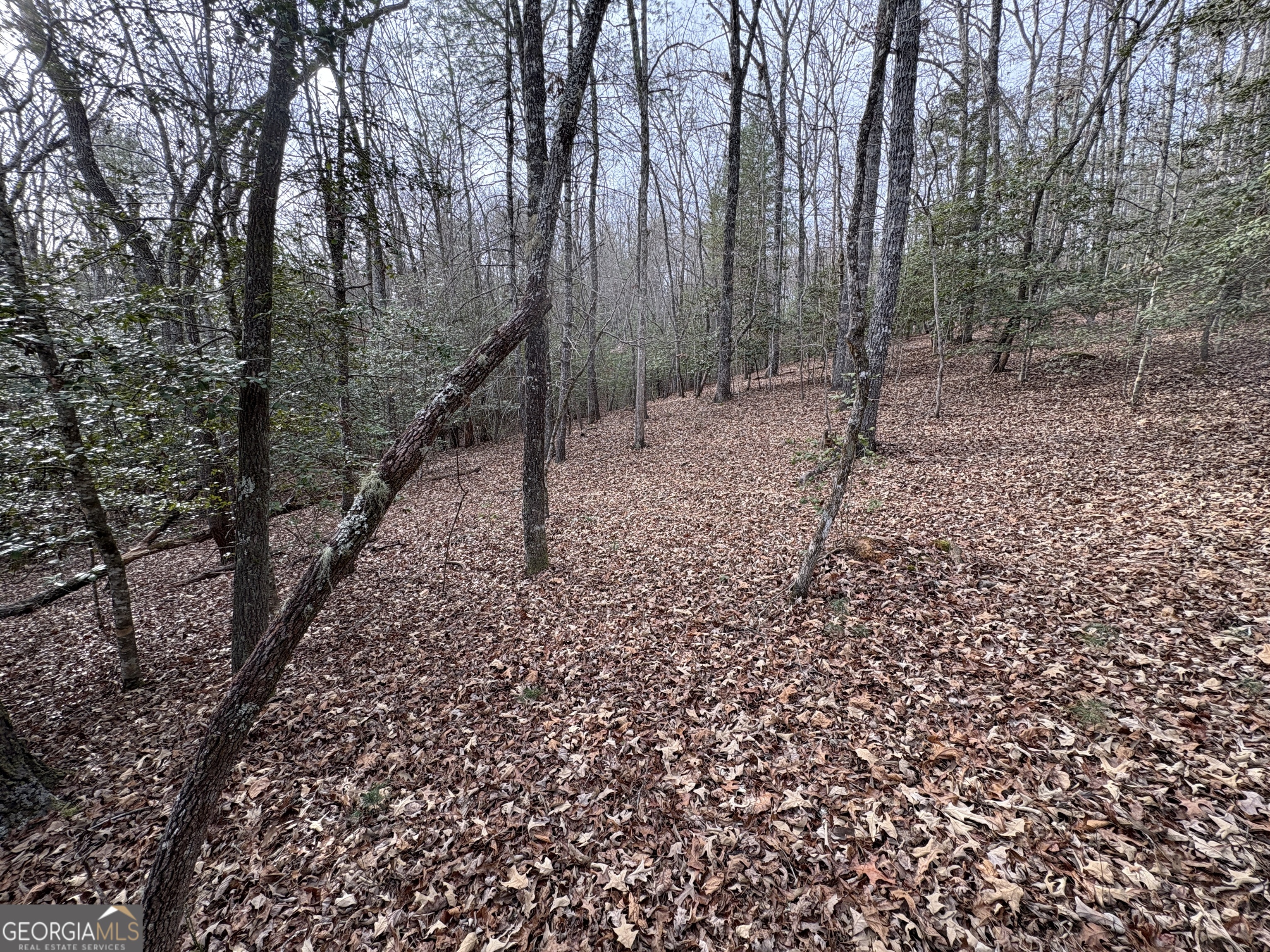 4-lots Old Johnson Road Murphy, NC 28906 - Photo 2 of 36