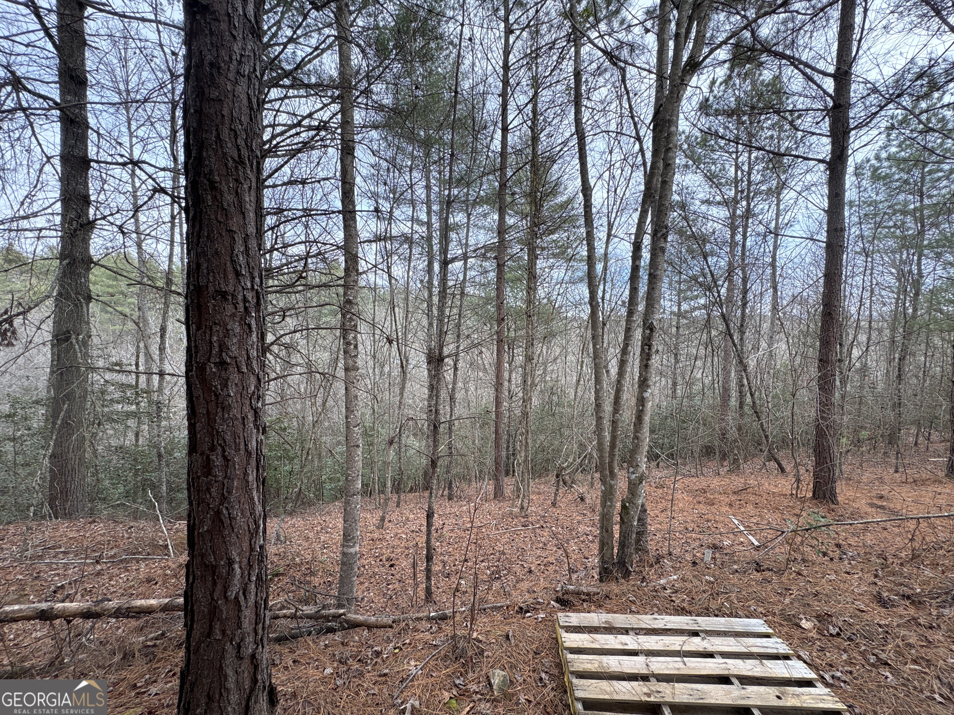 4-lots Old Johnson Road Murphy, NC 28906 - Photo 25 of 36