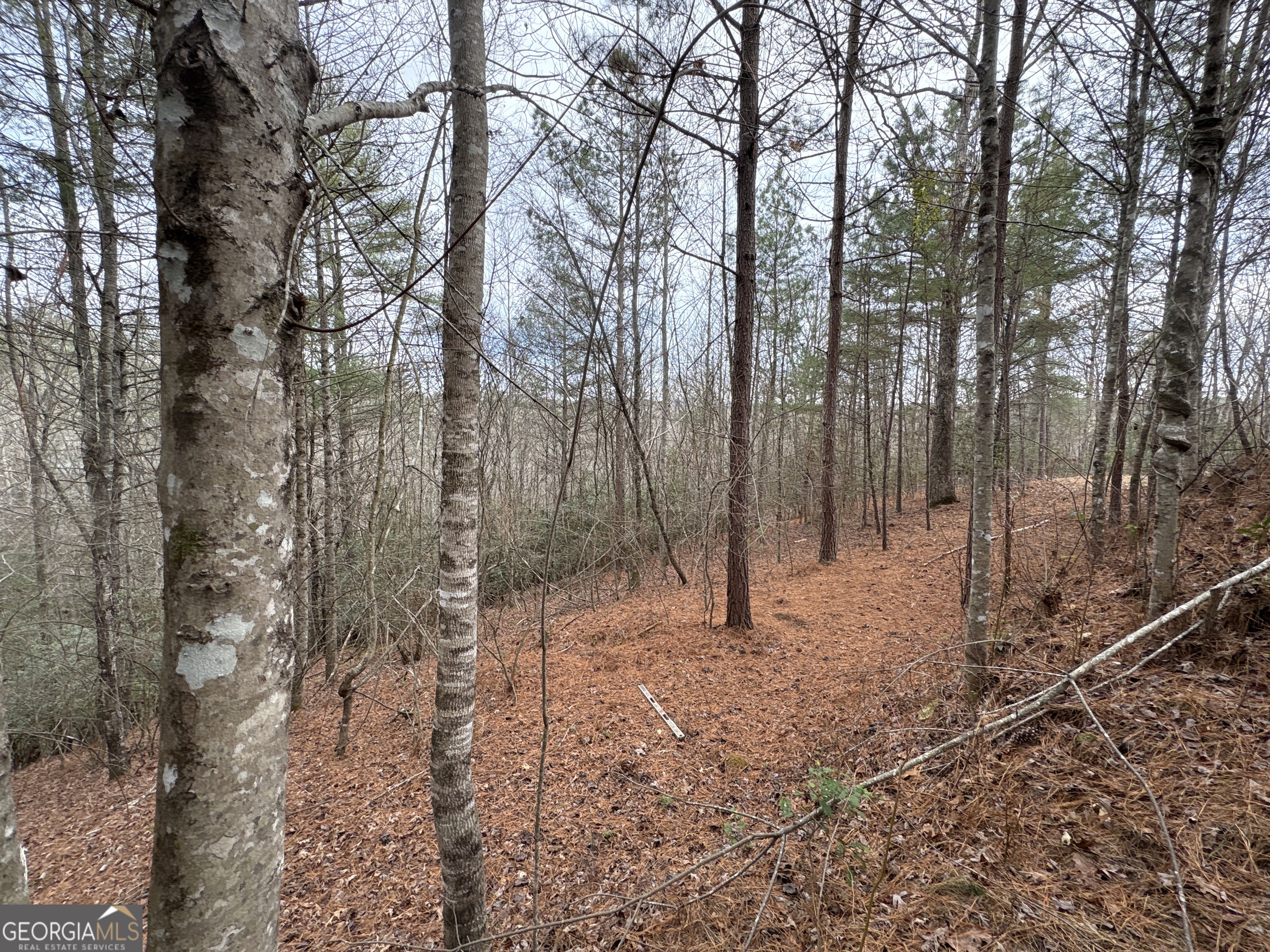 4-lots Old Johnson Road Murphy, NC 28906 - Photo 26 of 36