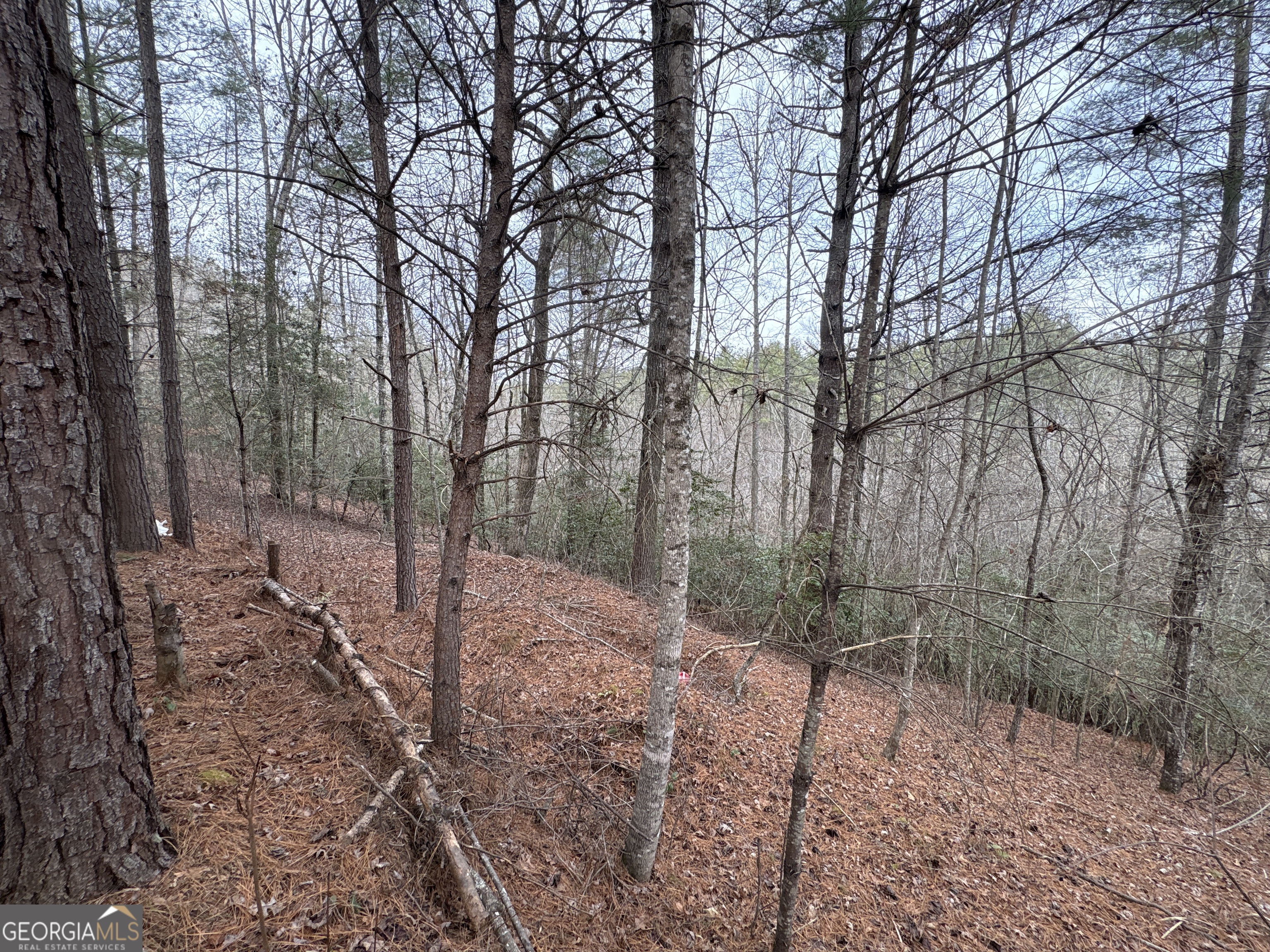 4-lots Old Johnson Road Murphy, NC 28906 - Photo 27 of 36