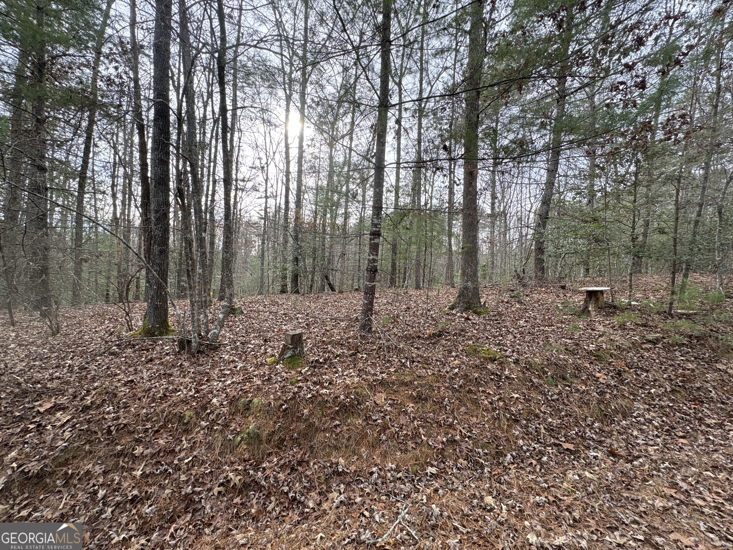 4-lots Old Johnson Road Murphy, NC 28906 - Photo 28 of 36