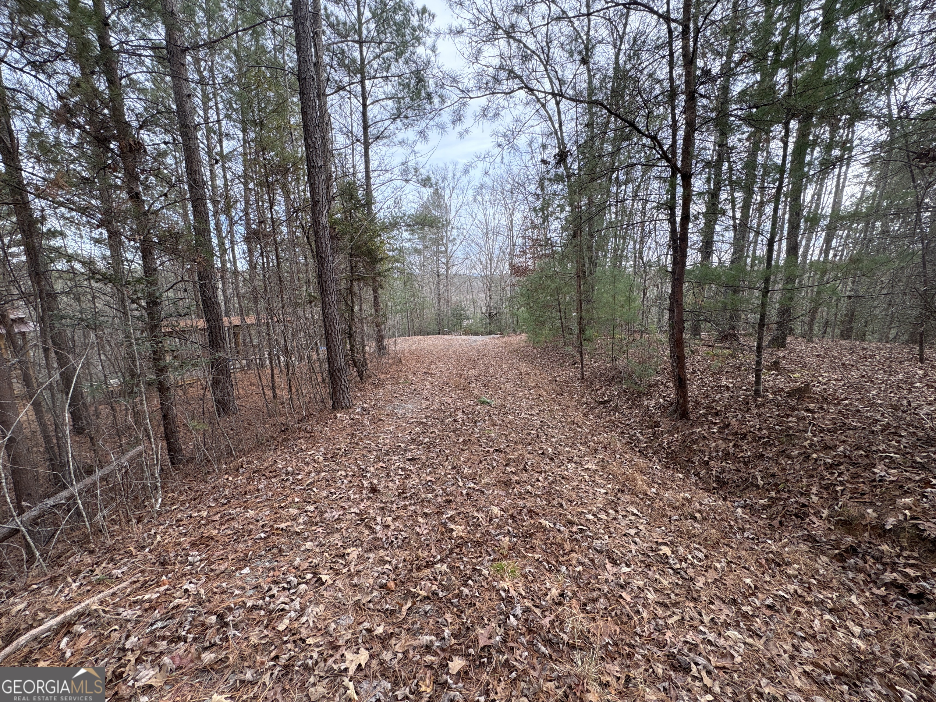 4-lots Old Johnson Road Murphy, NC 28906 - Photo 29 of 36