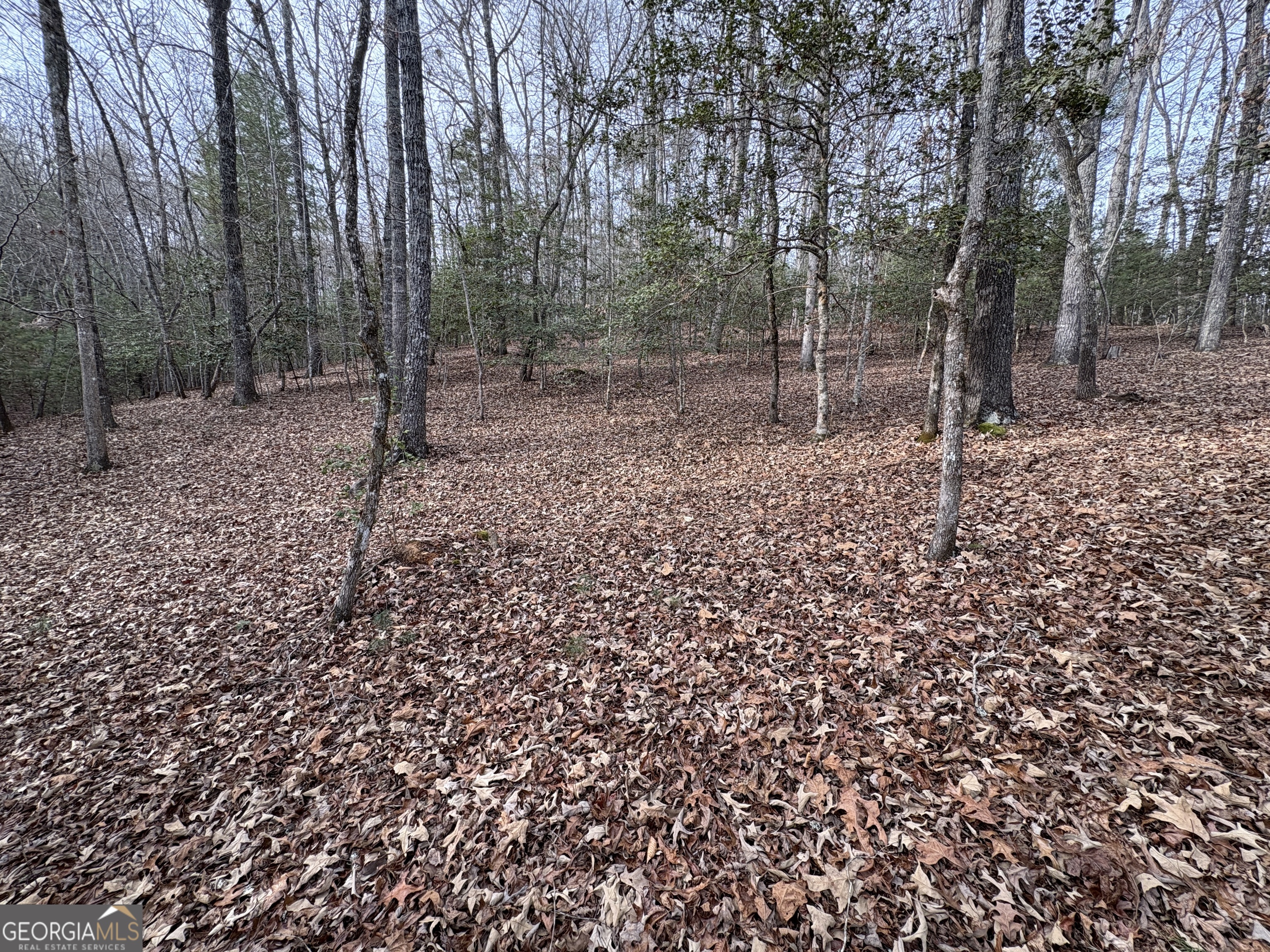 4-lots Old Johnson Road Murphy, NC 28906 - Photo 3 of 36