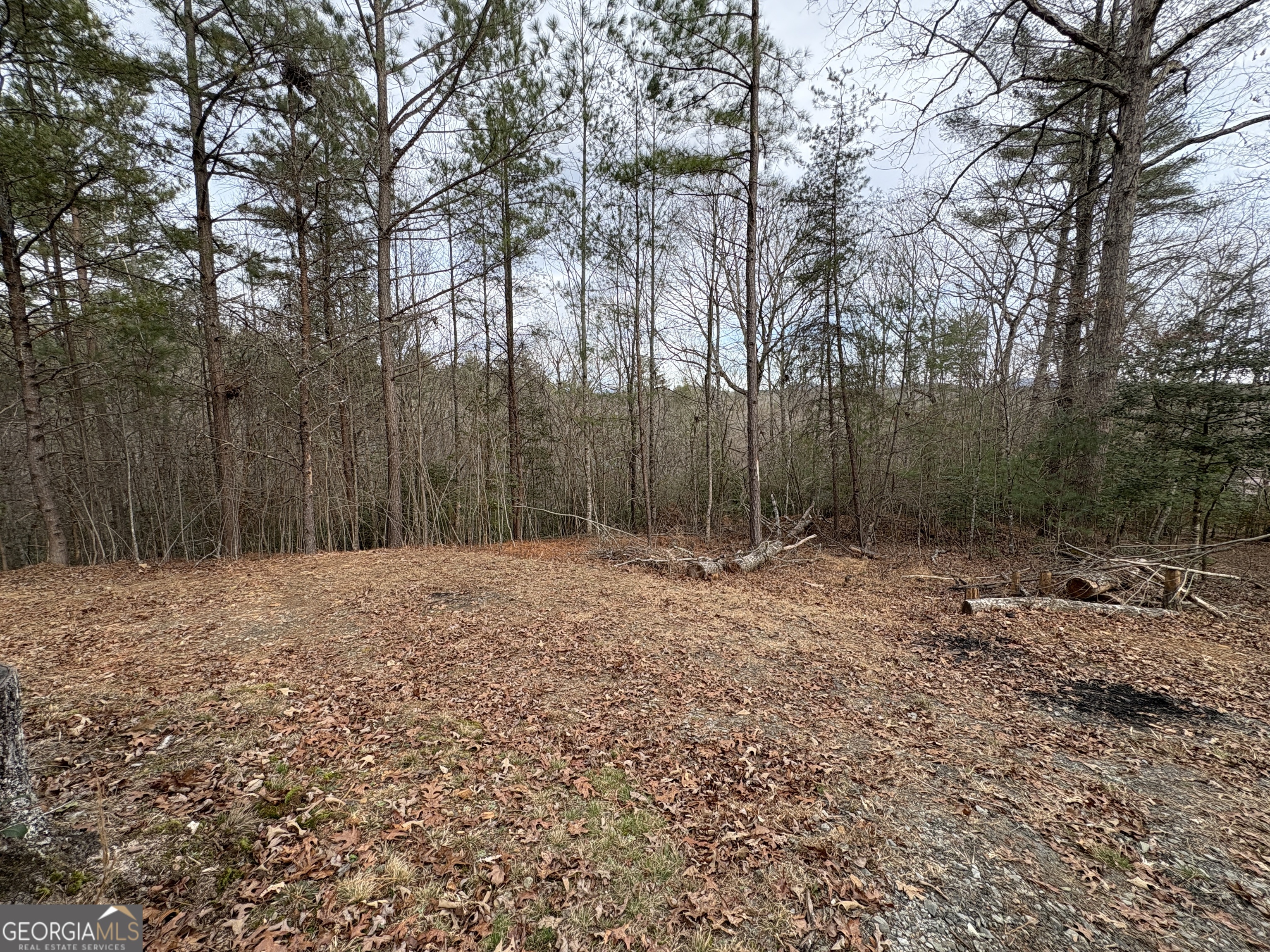 4-lots Old Johnson Road Murphy, NC 28906 - Photo 32 of 36