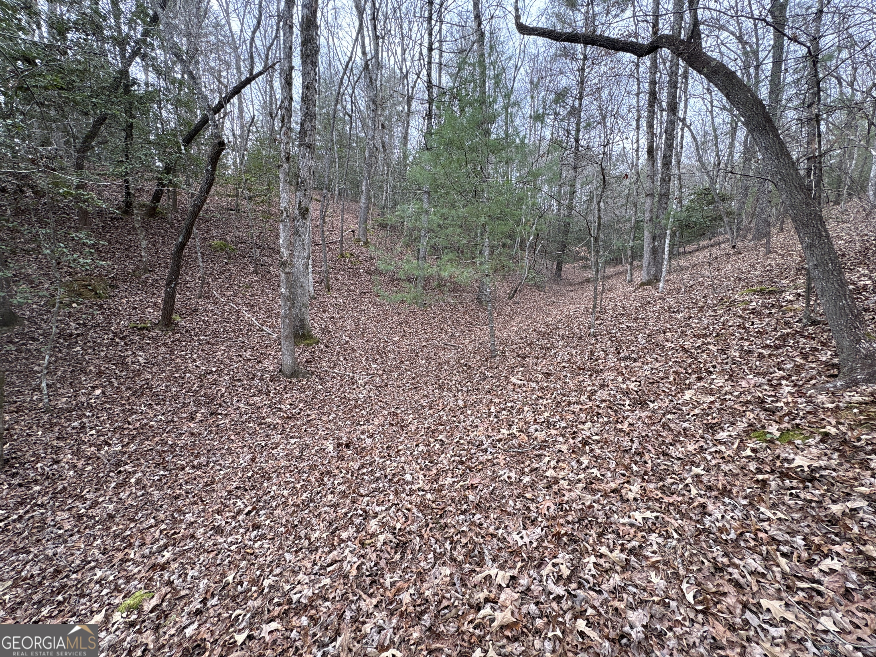 4-lots Old Johnson Road Murphy, NC 28906 - Photo 35 of 36