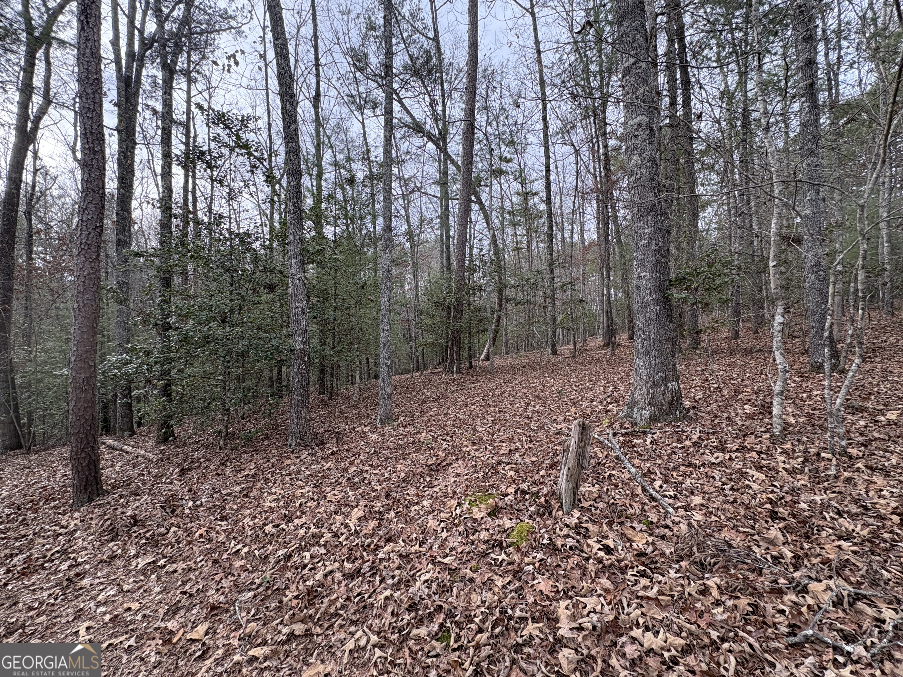 4-lots Old Johnson Road Murphy, NC 28906 - Photo 10 of 36