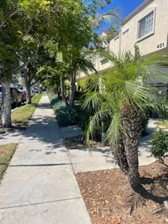 a view of a back yard of the house
