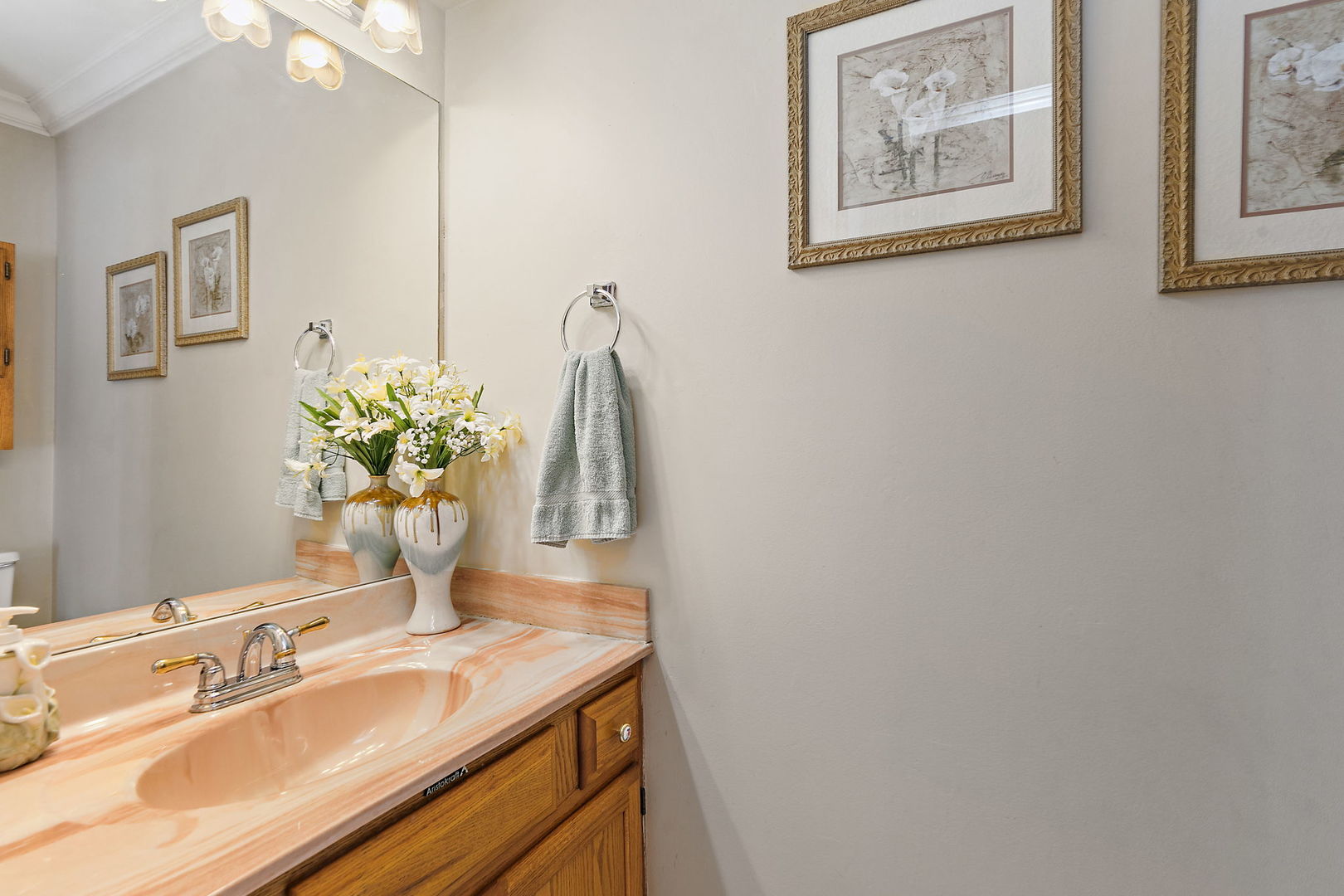 133 White Branch Court South, Unit 133 Schaumburg, IL 60107 - Photo 14 of 27 a bathroom with a sink and a mirror