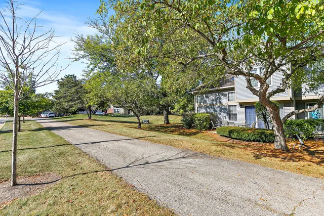 $350,000 | 133 White Branch Court South, Unit 133, Schaumburg, IL 60107