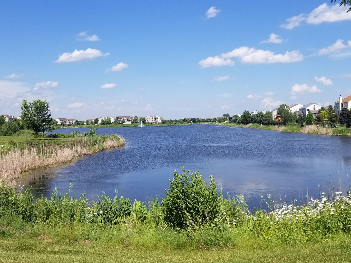 1214 Draper Road McHenry, IL 60050 - Photo 29 of 33 a view of a lake with a big yard