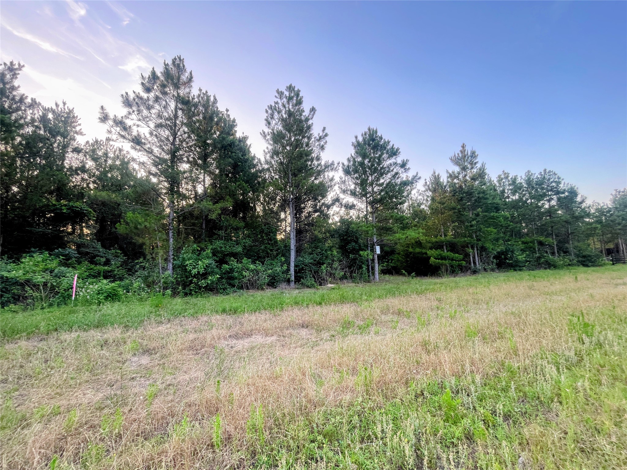 15705 Ridge Rock Road Willis, TX 77378 - Photo 7 of 13 Left front corner stake
