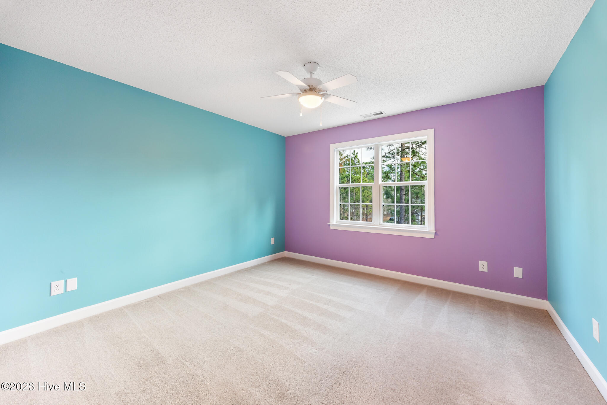 105 Ritter Drive West End, NC 27376 - Photo 18 of 40 105 Ritter-25