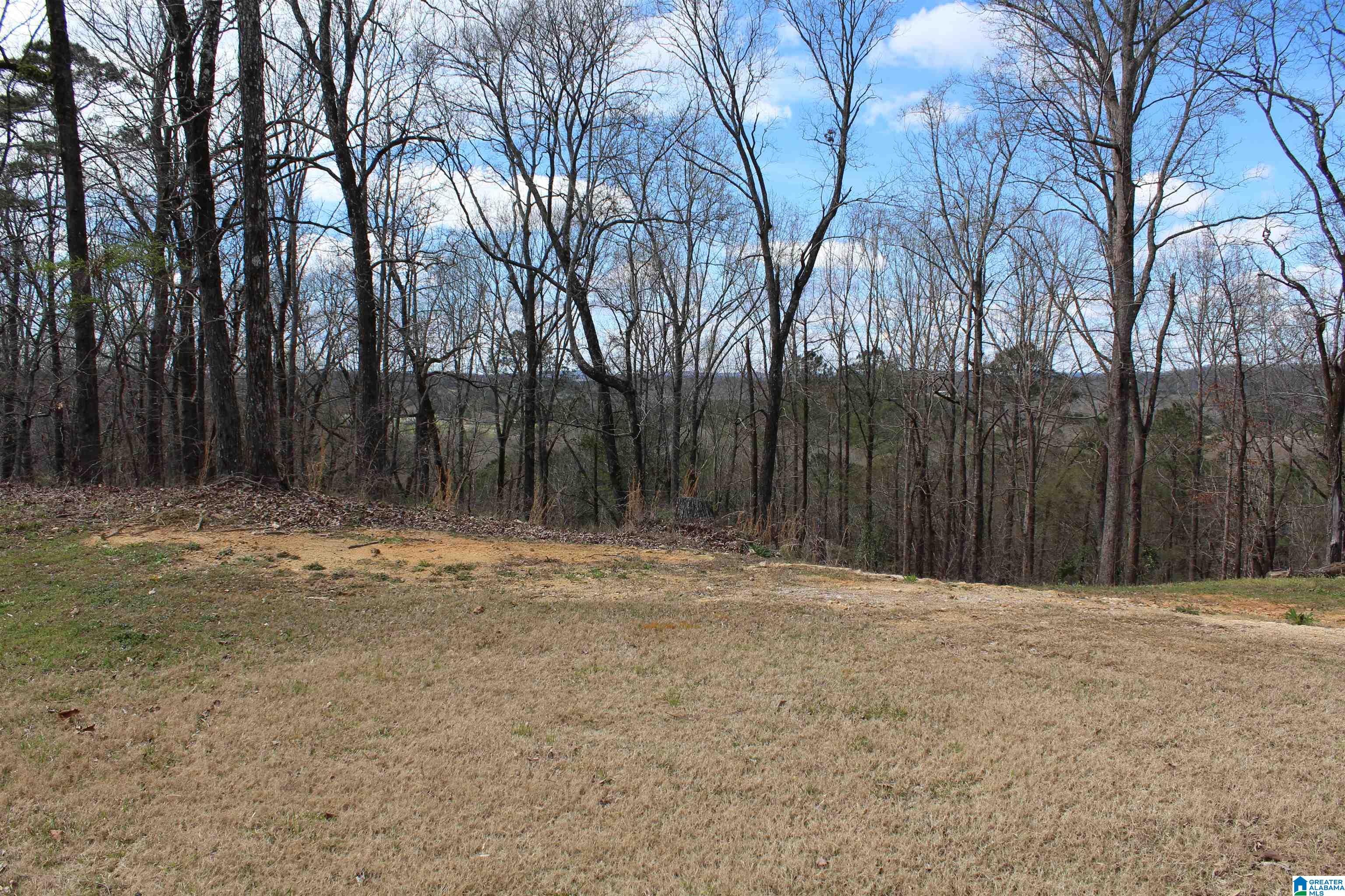 175 Ridgewood Lane Odenville, AL 35120 - Photo 35 of 35