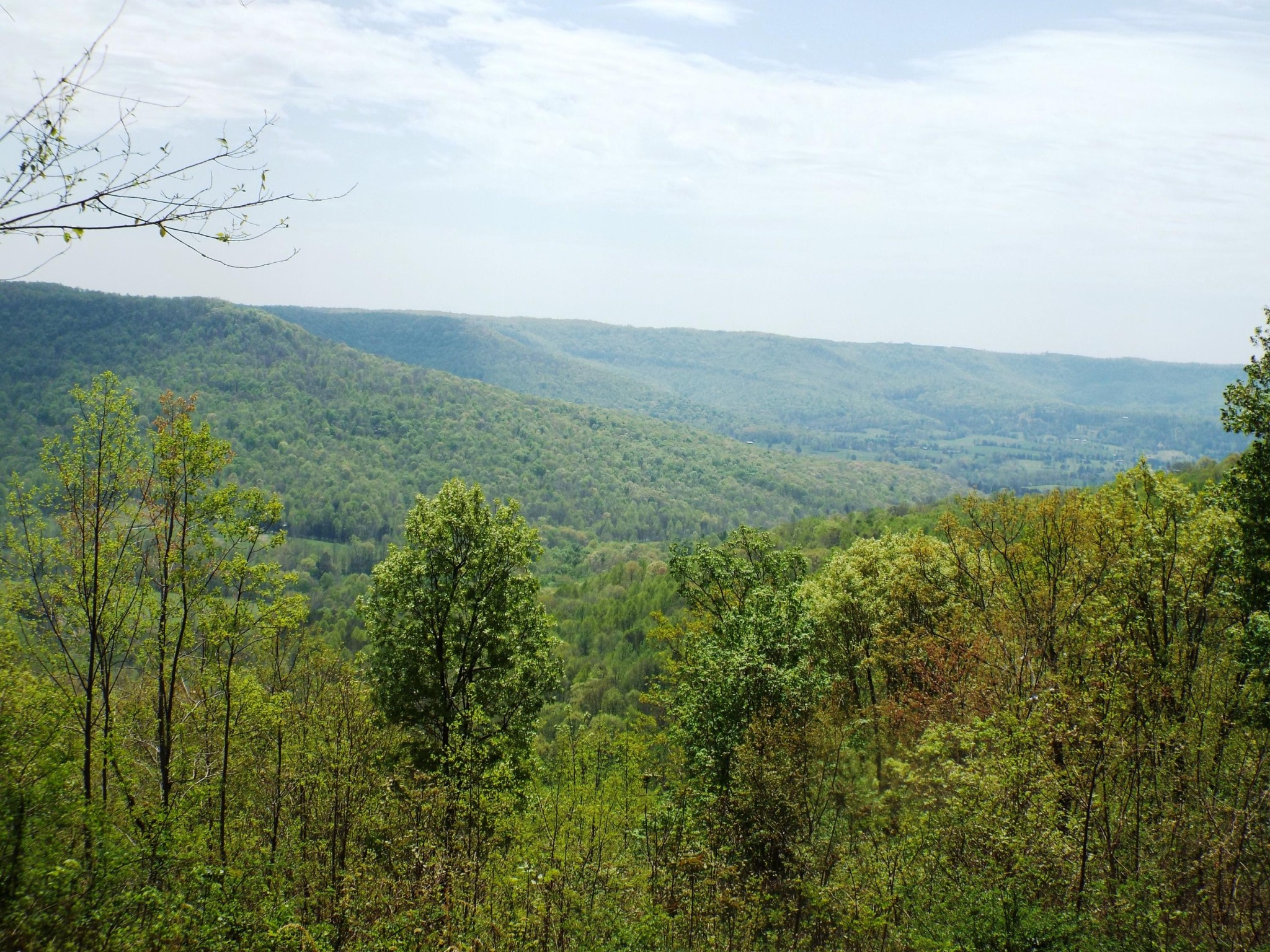 4473 Squirrel Flat Road Jamestown, TN 38556 - Photo 4 of 21 Gallery Image 4