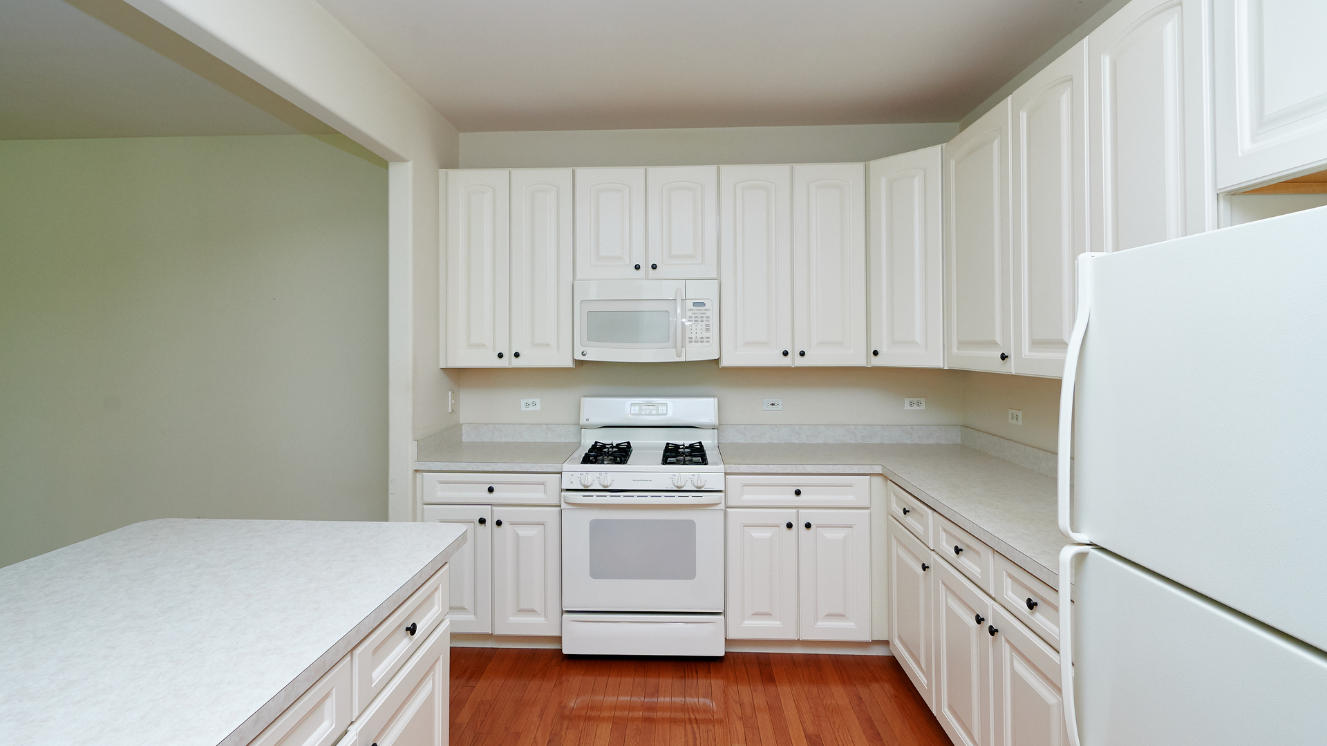 452 Nelson Drive Geneva, IL 60134 - Photo 11 of 35