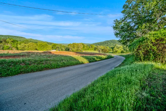a view of an aerial view of residential houses with outdoor space and trees