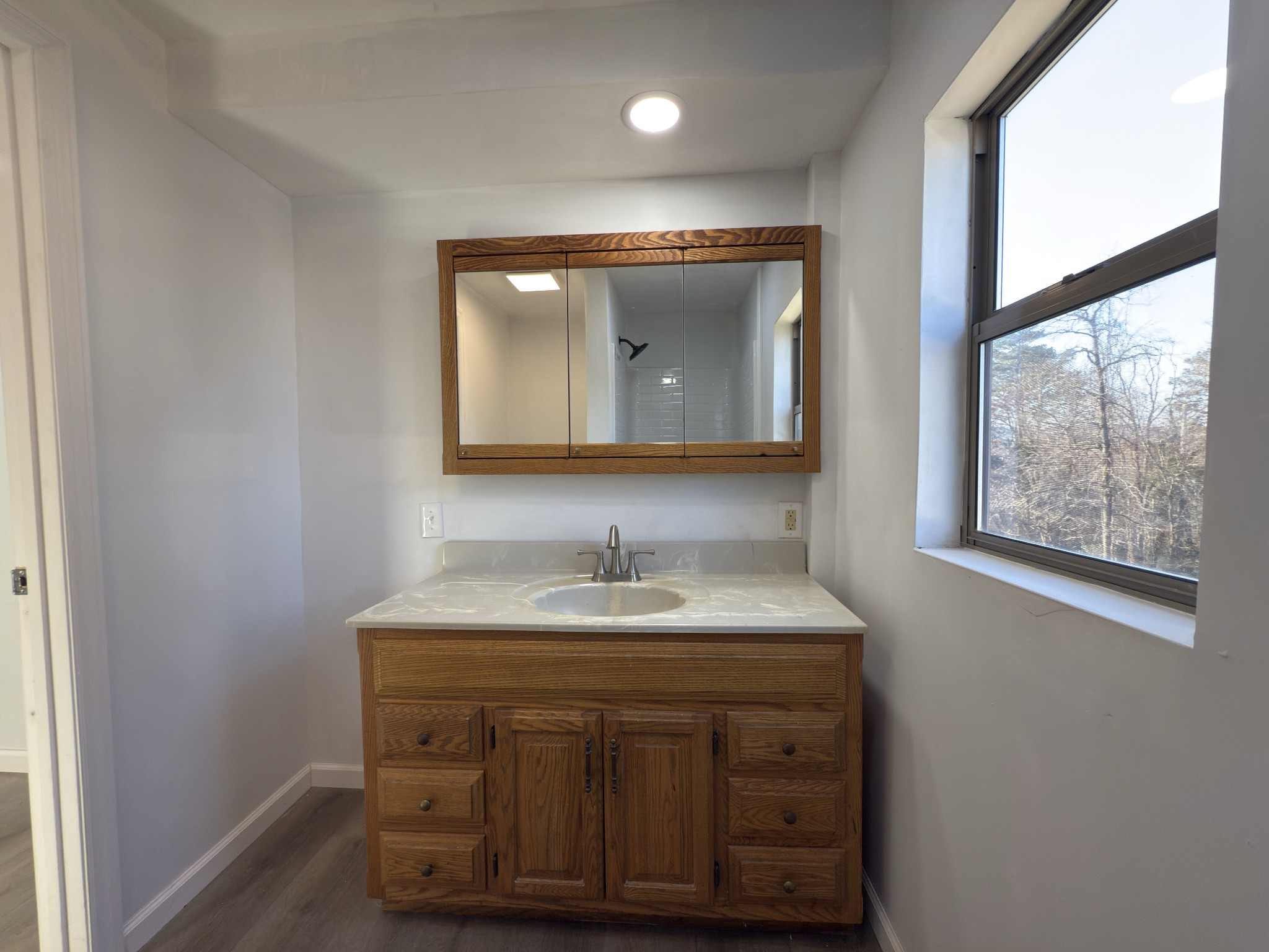 2000 Myers Cove Road McMinnville, TN 37110 - Photo 74 of 76 a bathroom with a sink vanity and a mirror