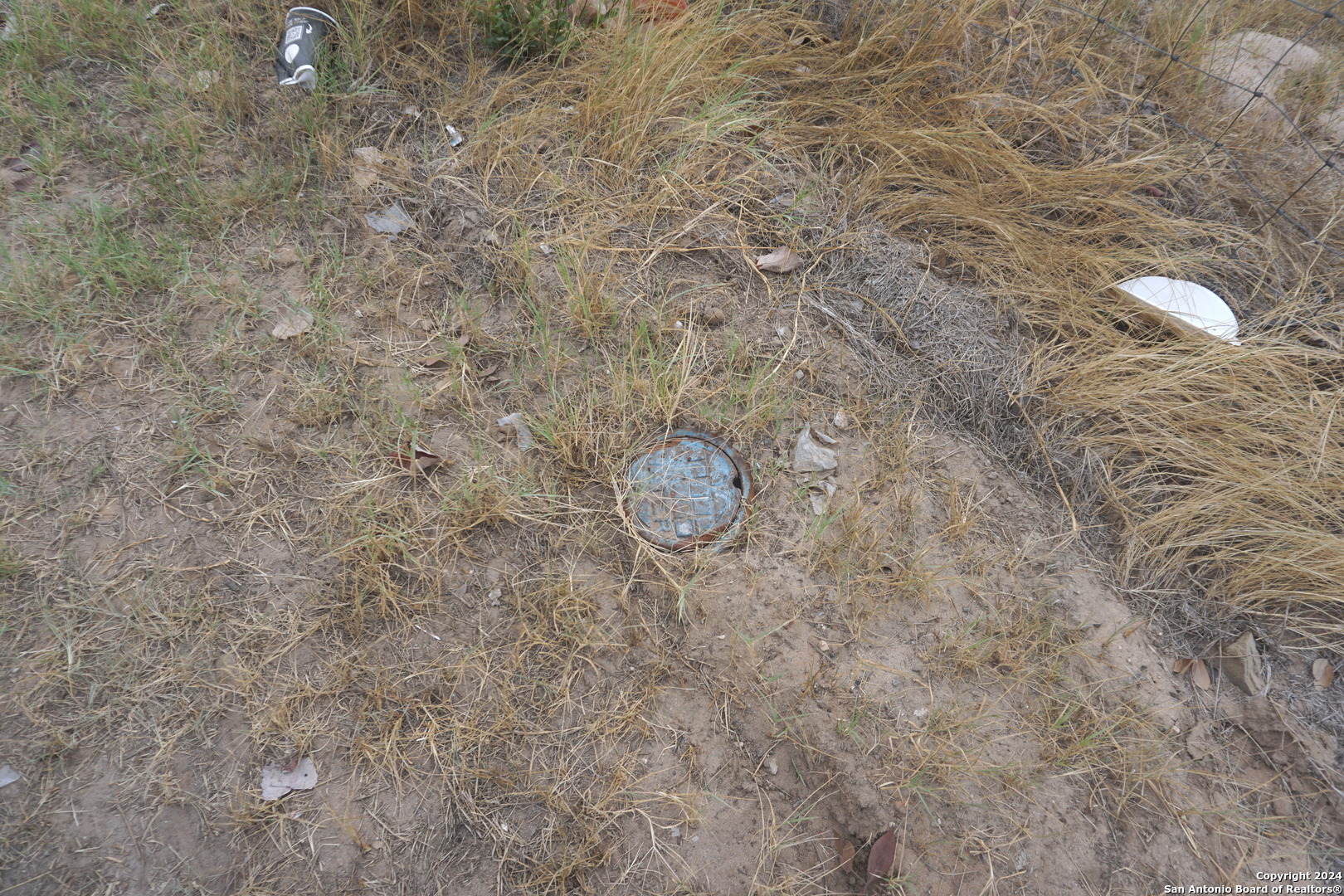 47 Viewpoint Drive Poteet, TX 78065 - Photo 8 of 20 a close up of a plant in a field