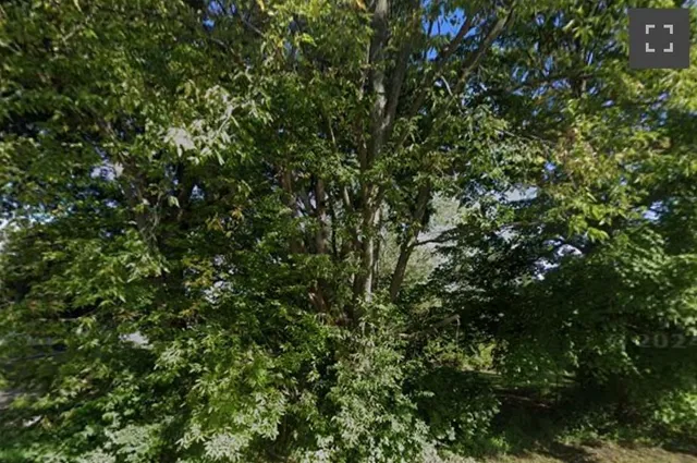 $20,000 | 16021 Lawrence Avenue, Belton, MO 64012