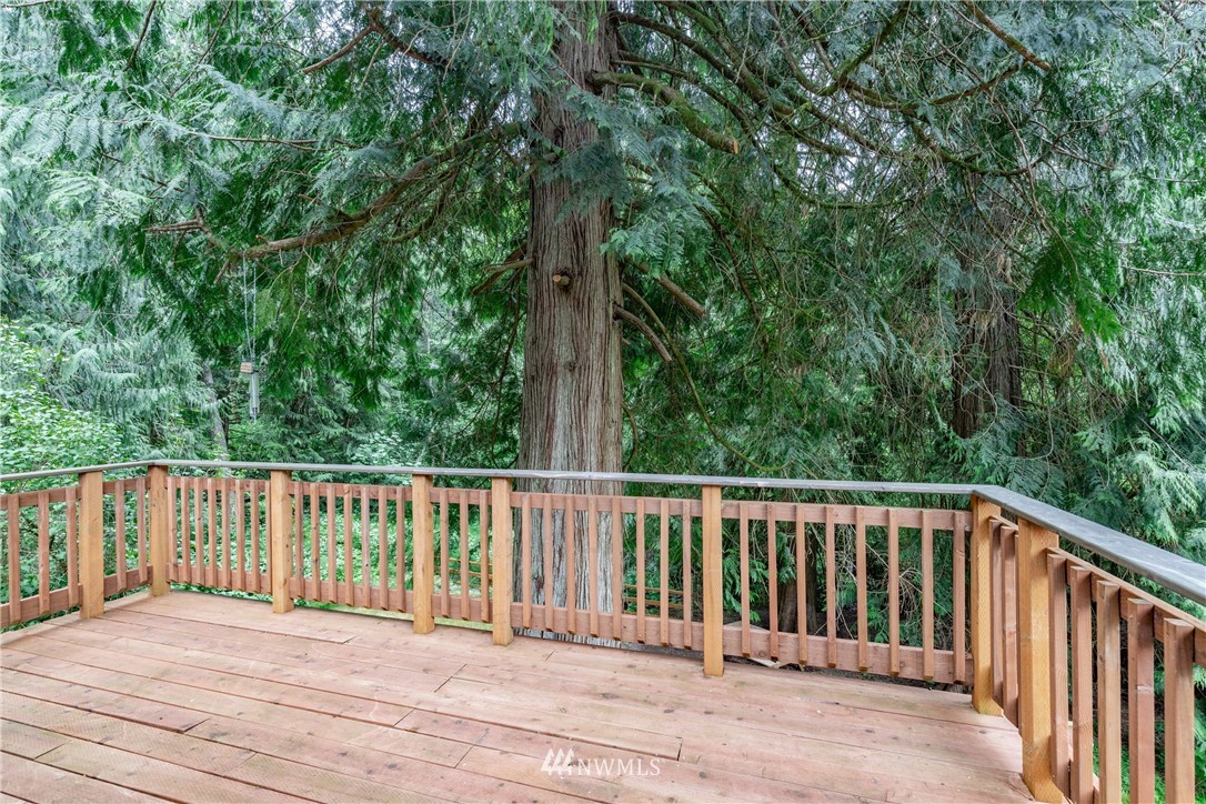 6020 Lemon Road Northeast Olympia, WA 98506 - Photo 14 of 40 Gallery Image 14