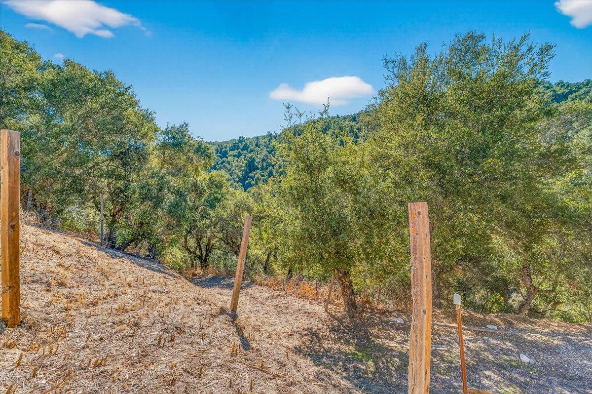 21444 Parrott Ranch Road Carmel Valley, CA 93924 - Photo 47 of 58 Gallery Image 47