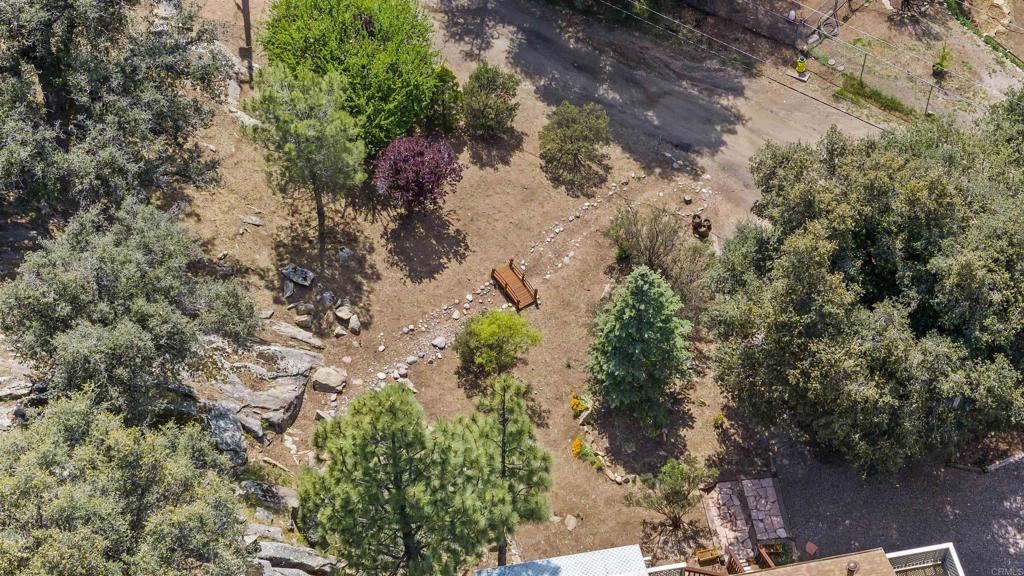 29131 Half Moon Trail Pine Valley, CA 91962 - Photo 32 of 50 a picture of tree