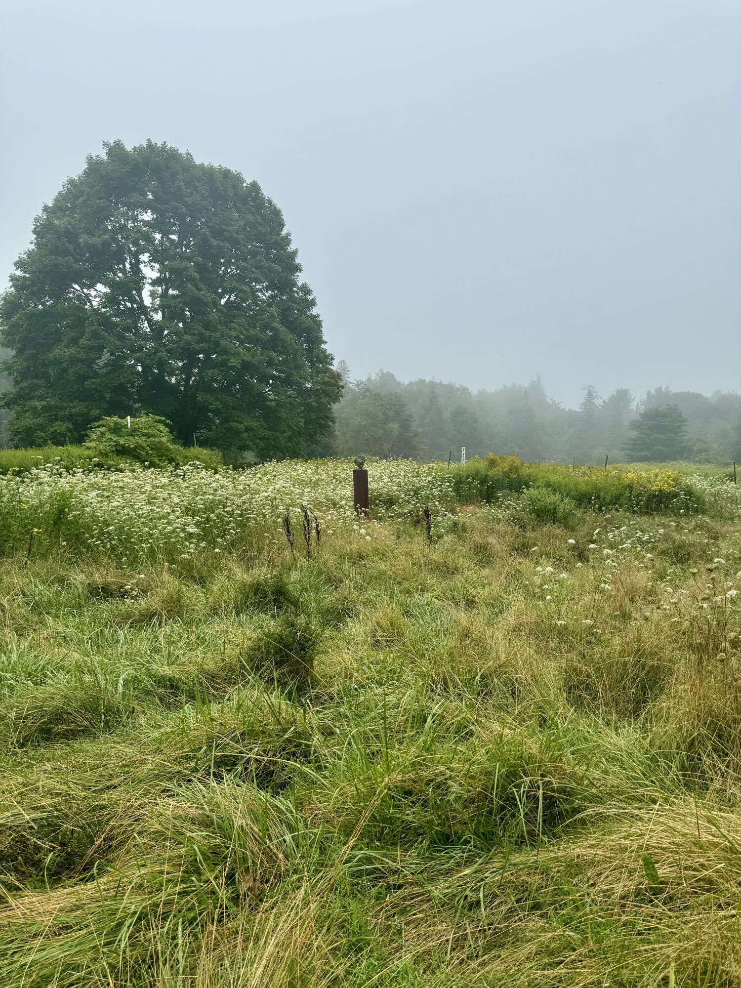303 Wallston Road St. George, ME 04860 - Photo 2 of 5 side field