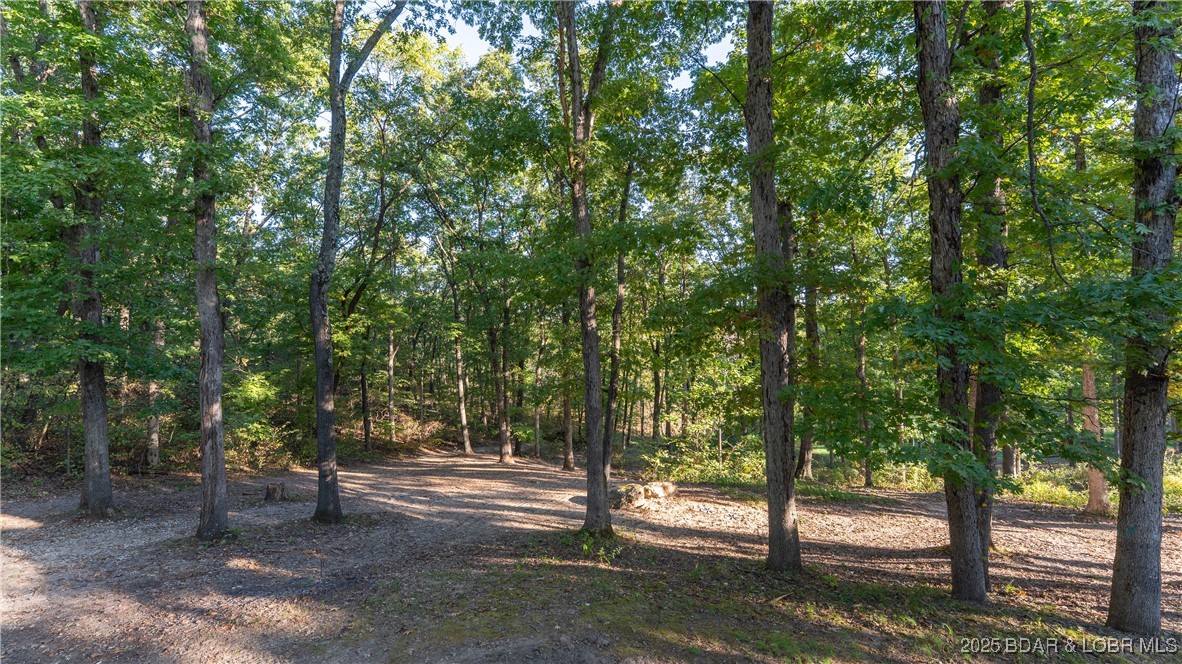 258 State Route West Eldon, MO 65026 - Photo 20 of 47 Backyard View