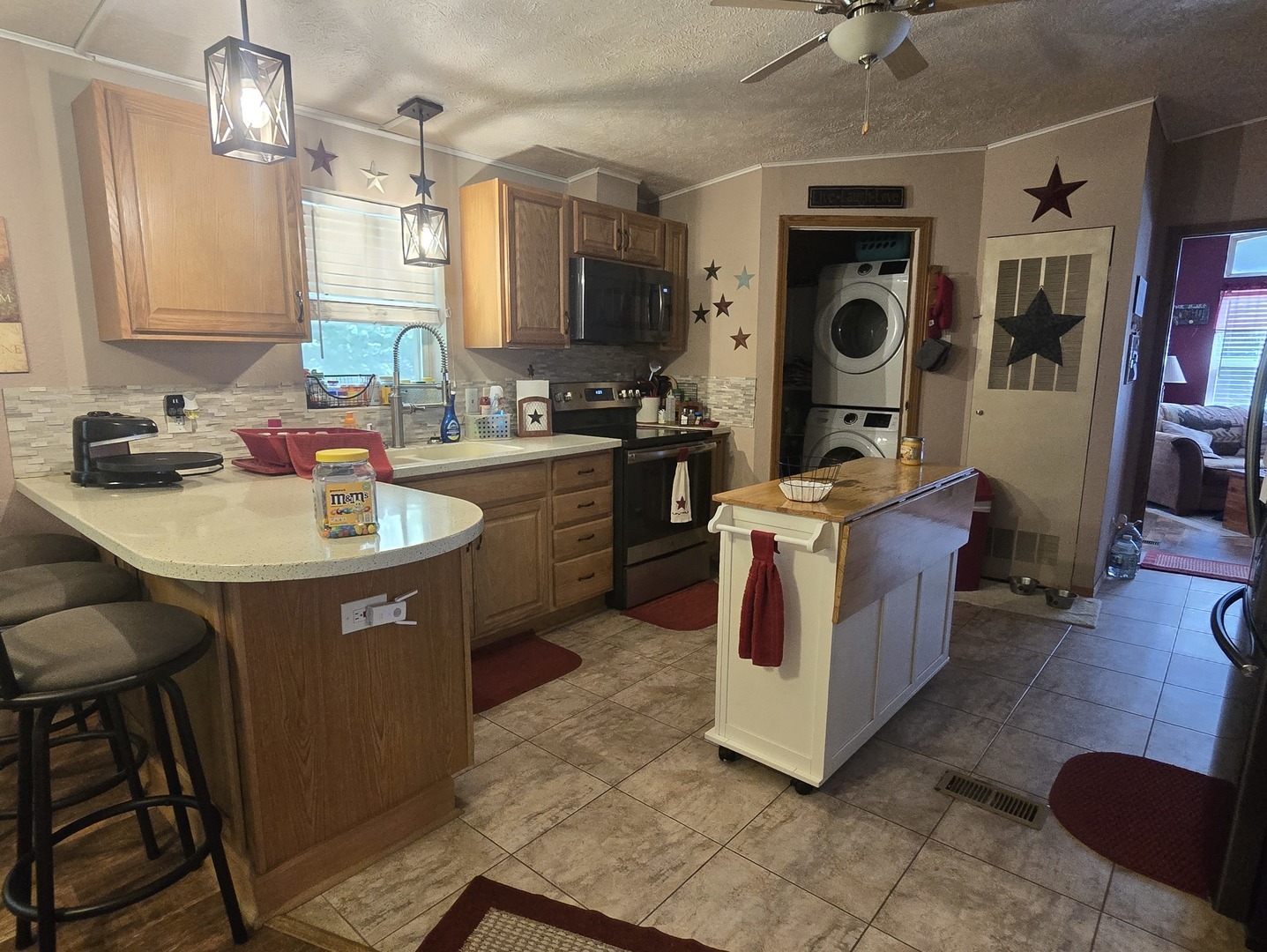 2457 North 41st Road Sheridan, IL 60551 - Photo 5 of 10