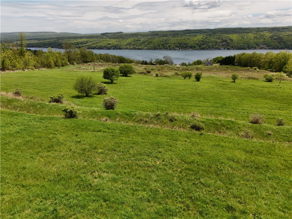 0 Middle Road Hammondsport, NY 14840 - Photo 5 of 20