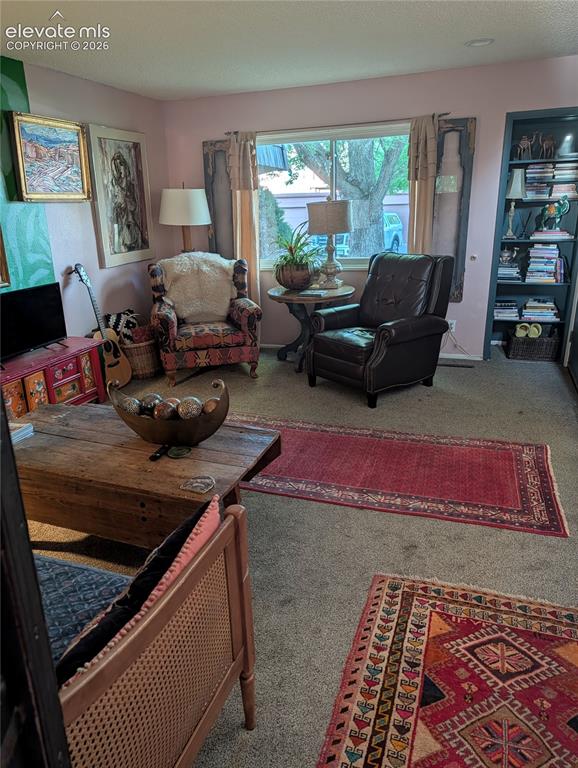 2953 Mesa Road, Unit B Colorado Springs, CO 80904 - Photo 6 of 23 a living room with furniture and a rug