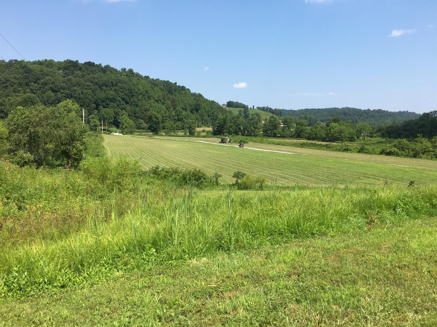 8181 Johnson Road London, KY 40741 - Photo 10 of 41 Photo 10