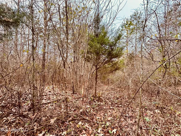 $589,000 | 1 Southeast Frontage Road, Winona, MS 38967