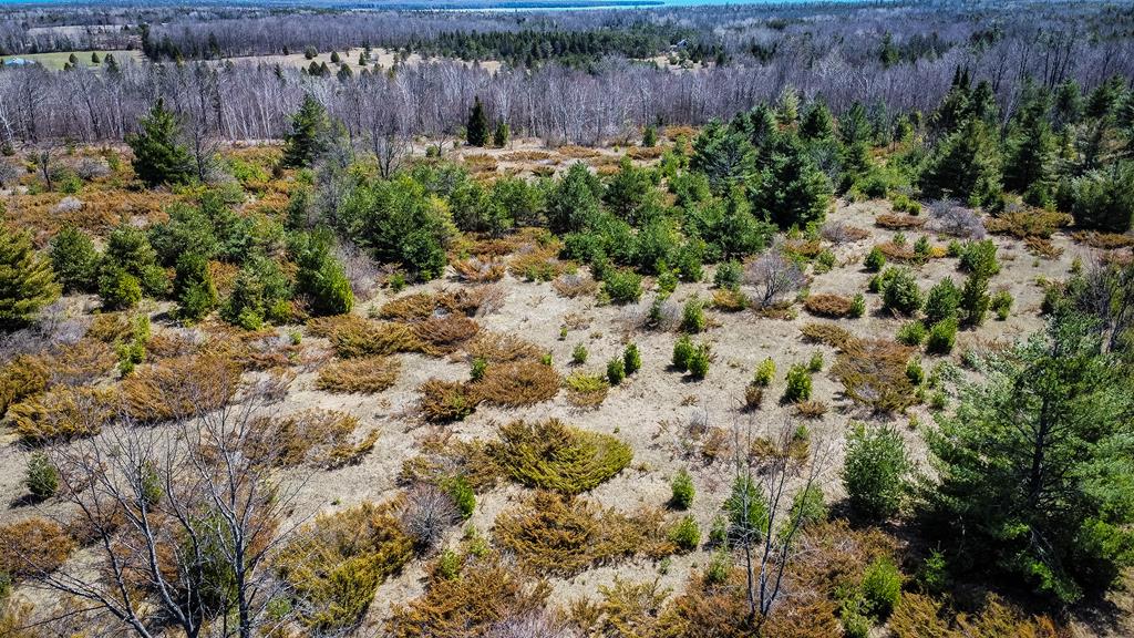 Woodcrest Road Sister Bay, WI 54234 - Photo 6 of 15