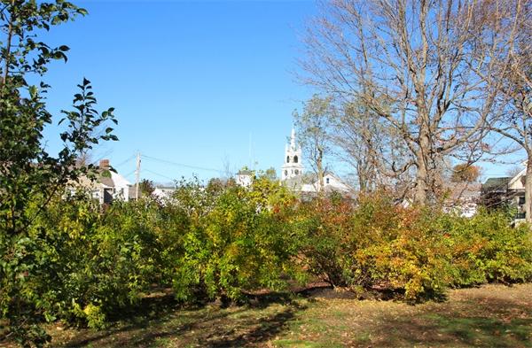 21 Hammond Street Rowley, MA 01969 - Photo 4 of 15