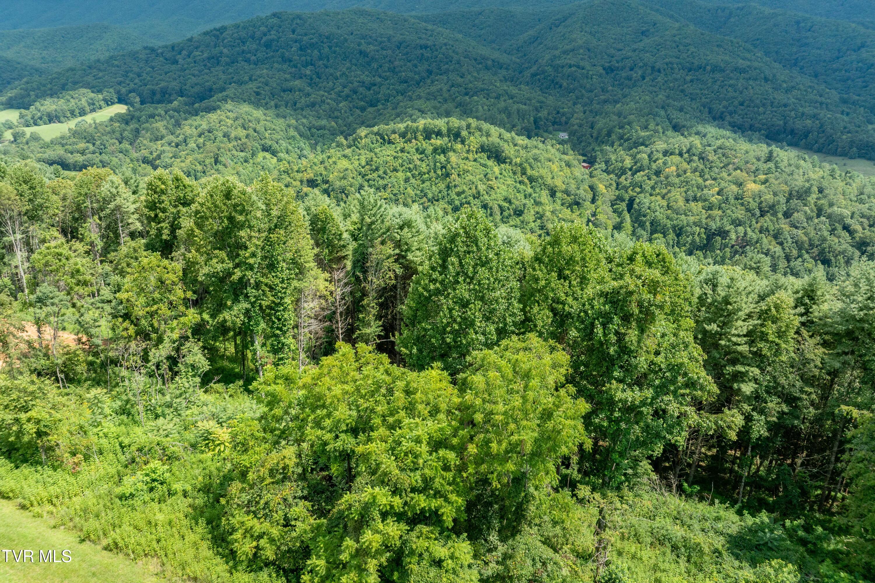 Lot 75 Summerfield Drive, Unit 75 Butler, TN 37640 - Photo 26 of 40 TBD Summerfield Phase 2 Lot 75 (27 of 41