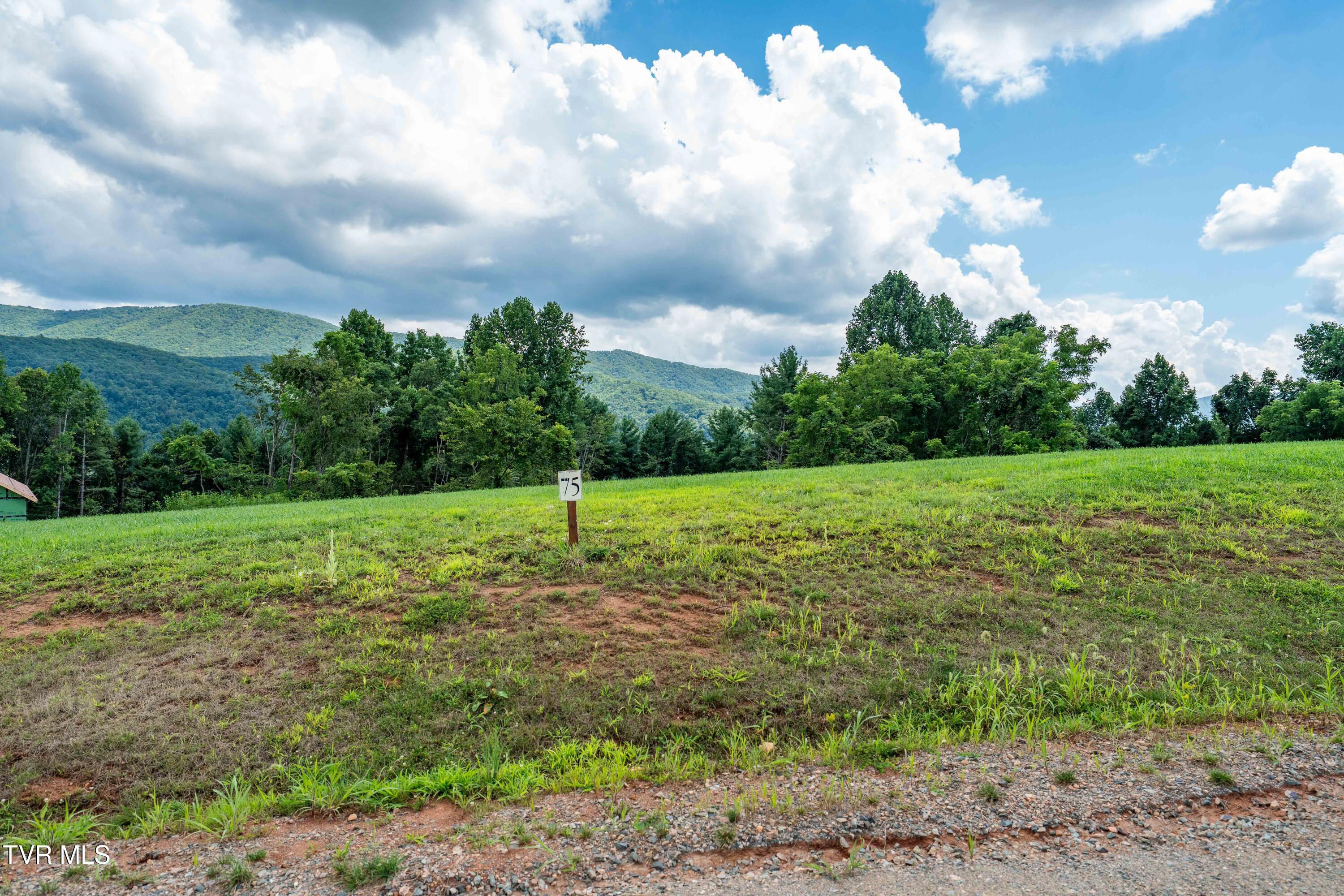 Lot 75 Summerfield Drive, Unit 75 Butler, TN 37640 - Photo 27 of 40 TBD Summerfield Phase 2 Lot 75 (28 of 41