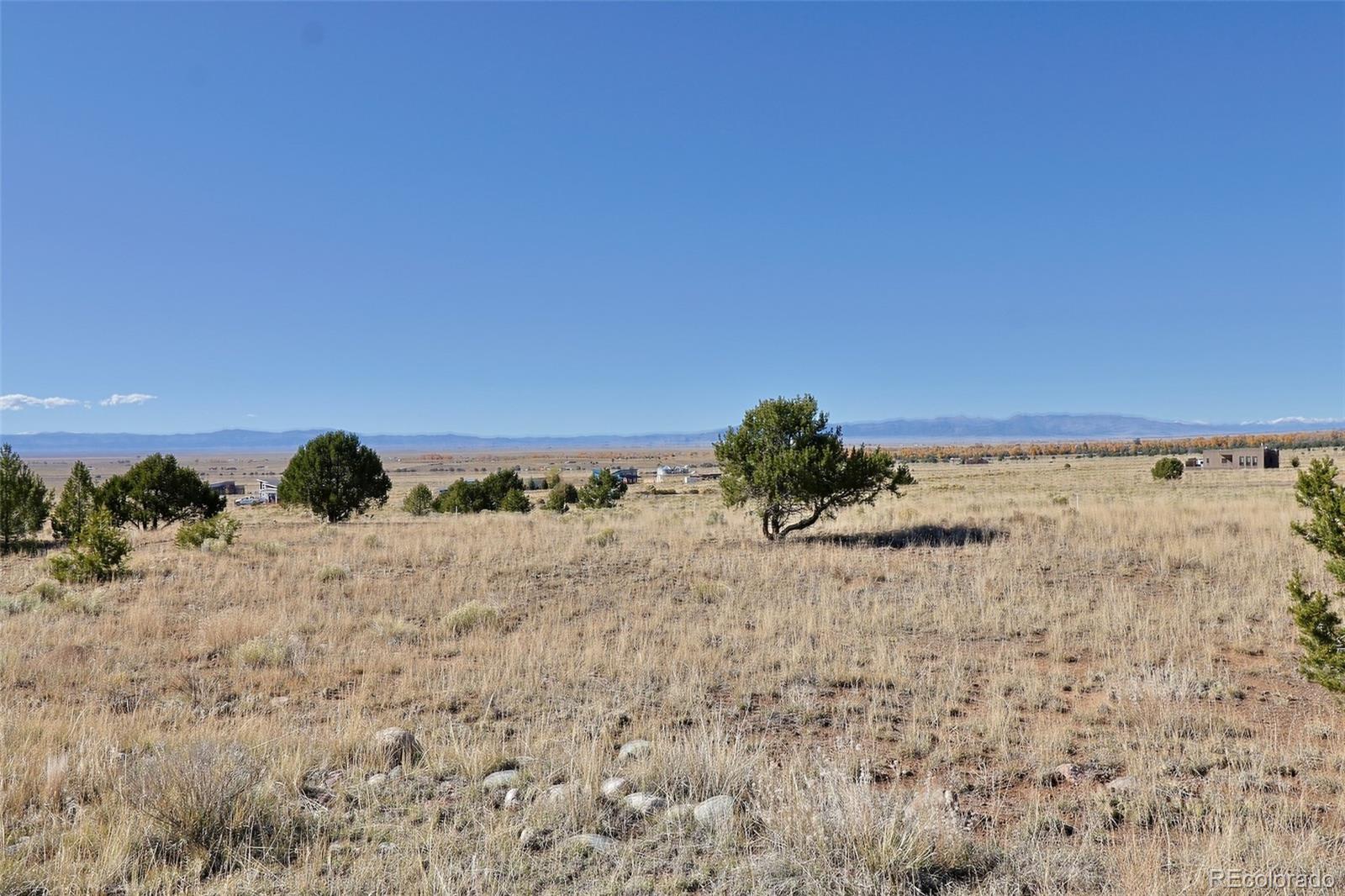 3402 Camino Del Rey Crestone, CO 81131 - Photo 4 of 14 a view of a dry yard with trees
