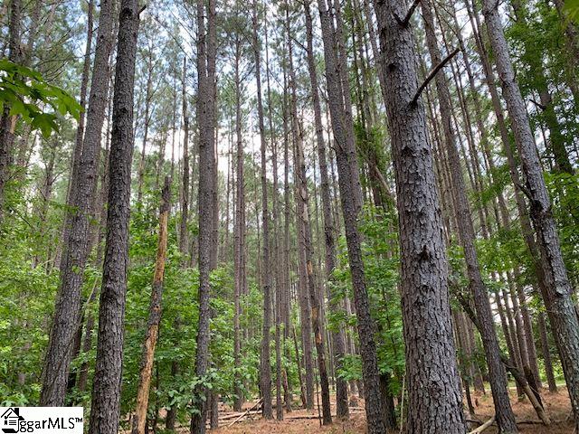 699 Bradley Road McCormick, SC 29835 - Photo 23 of 36 Gallery Image 23