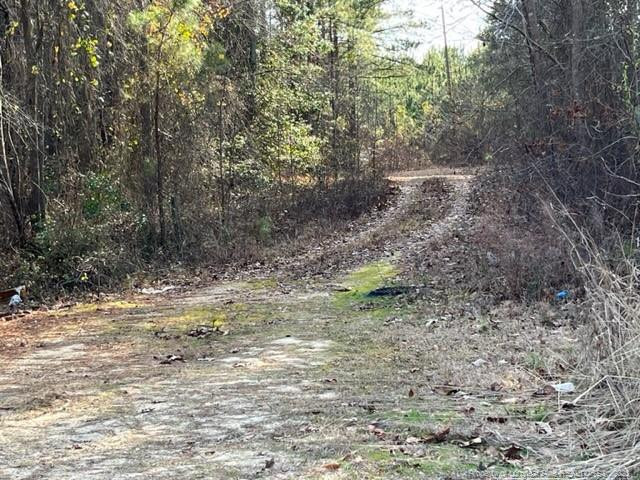 24-87 Nc Cameron, NC 28326 - Photo 25 of 28 a view of a dry yard with trees