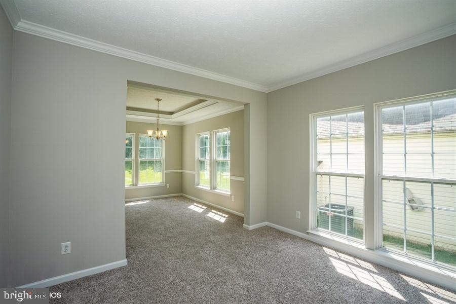 7769 Rotherham Drive Hanover, MD 21076 - Photo 5 of 22 Living room with fresh carpet and paint