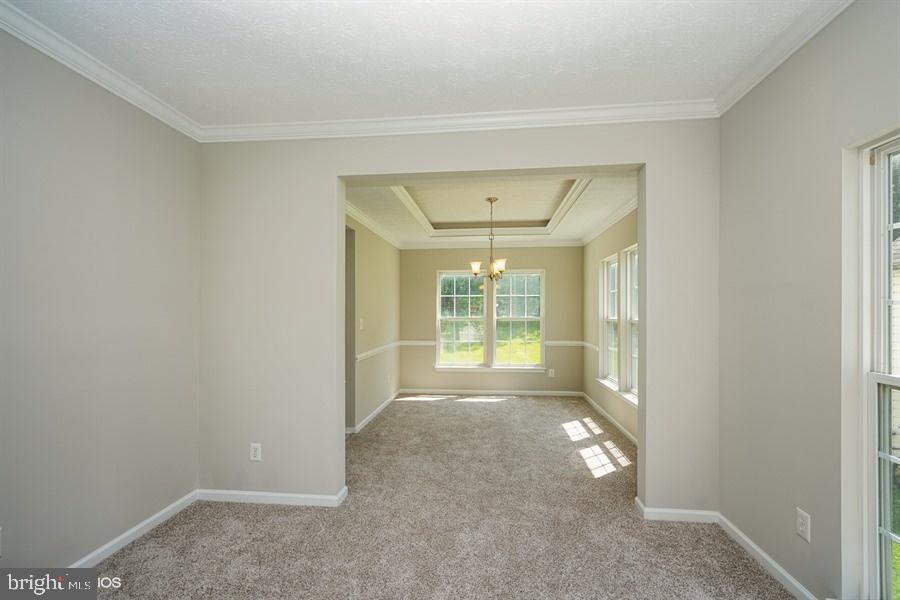 7769 Rotherham Drive Hanover, MD 21076 - Photo 6 of 22 Living room with fresh carpet and paint
