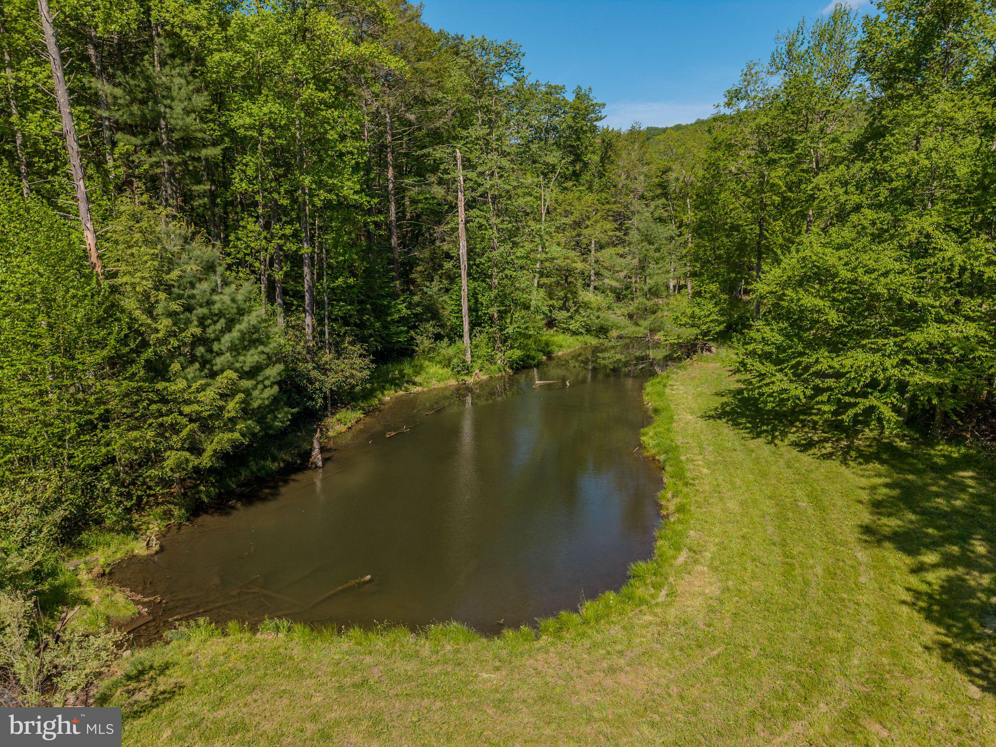 1520 Lingle Valley Road Milroy, PA 17063 - Photo 23 of 144 Serene pond nestled in lush greenery.