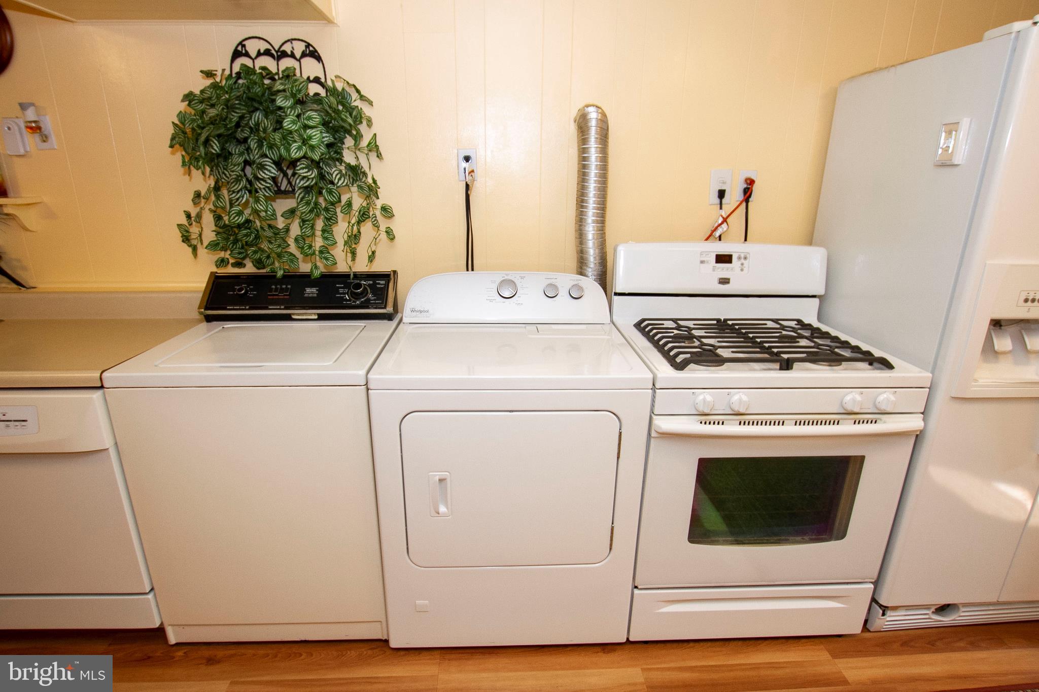1511 Customs Road Rosedale, MD 21237 - Photo 35 of 38 LOWER LEVEL!!